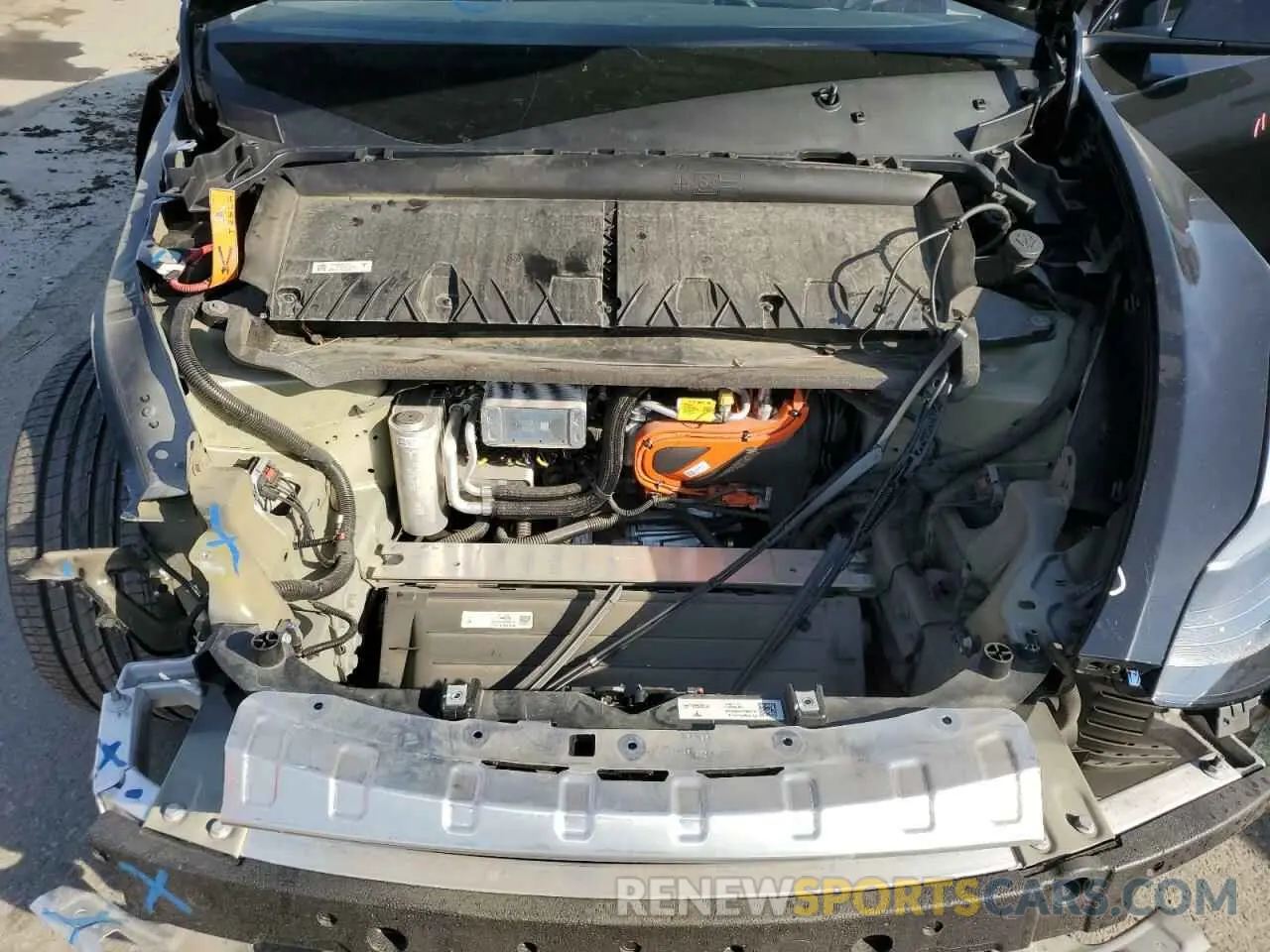 12 fotografías del automóvil dañado 7SAYGDEE5PF834645 TESLA MODEL Y 2023