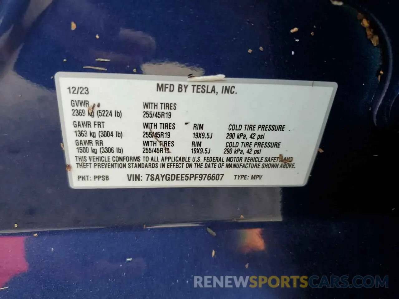 13 fotografías del automóvil dañado 7SAYGDEE5PF976607 TESLA MODEL Y 2023