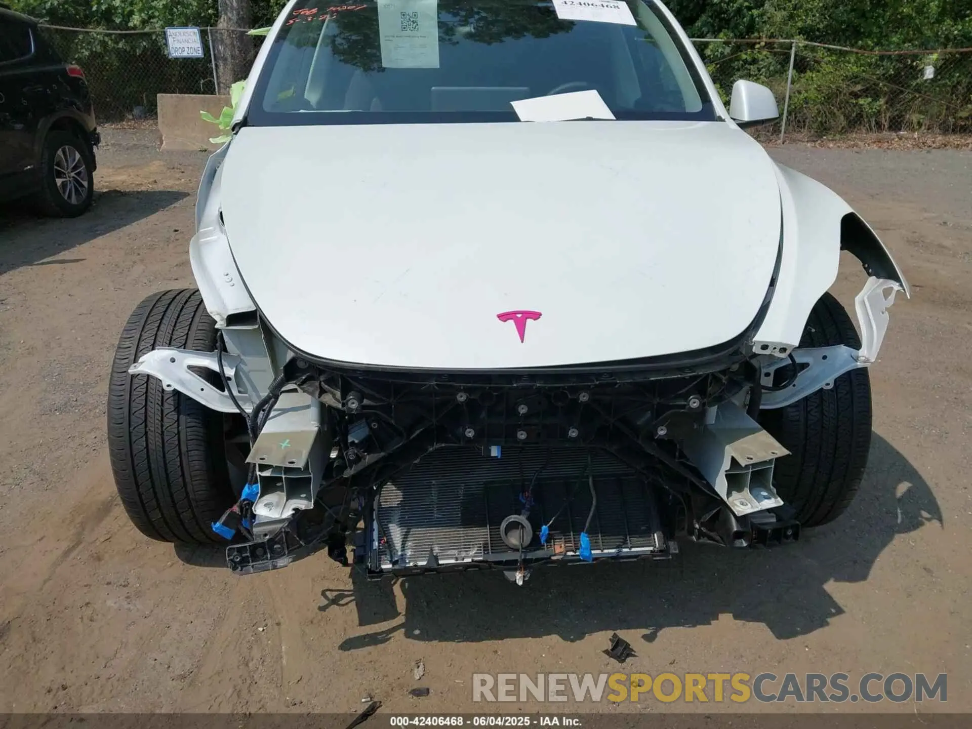 11 fotografías del automóvil dañado 7SAYGDEE6PF684013 TESLA MODEL Y 2023