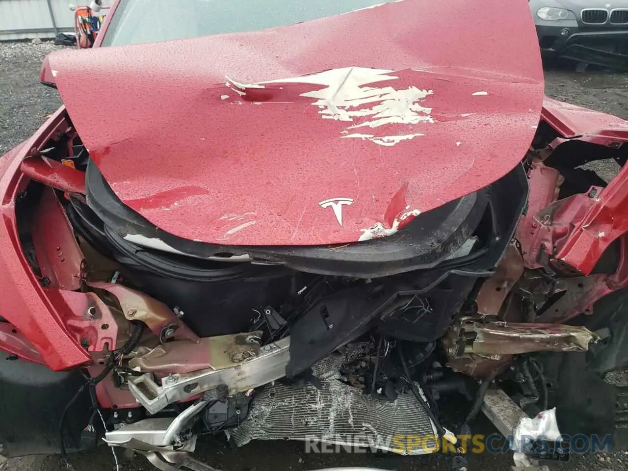 11 fotografías del automóvil dañado 7SAYGDEE6PF756375 TESLA MODEL Y 2023