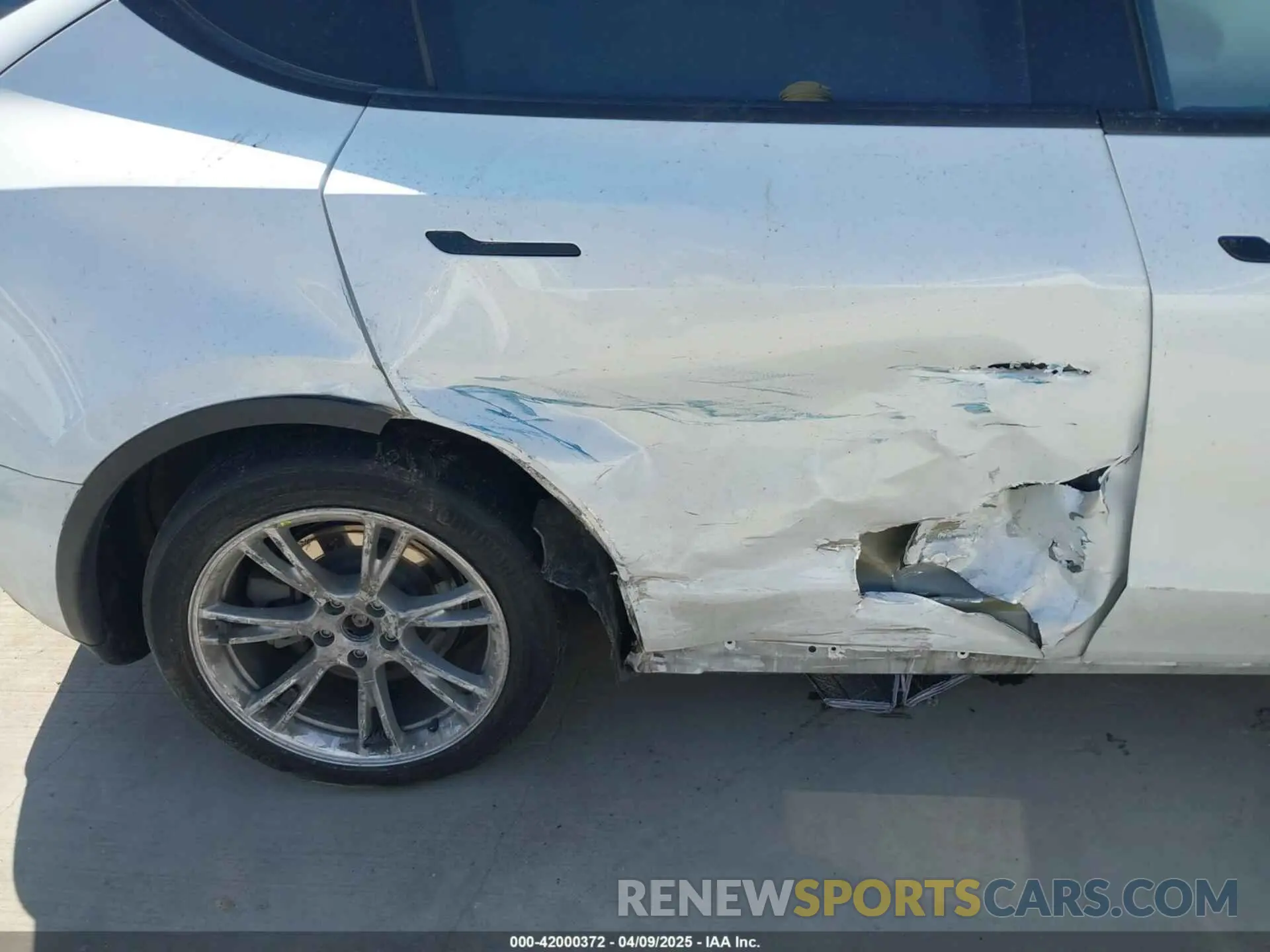 6 fotografías del automóvil dañado 7SAYGDEE7PA062551 TESLA MODEL Y 2023