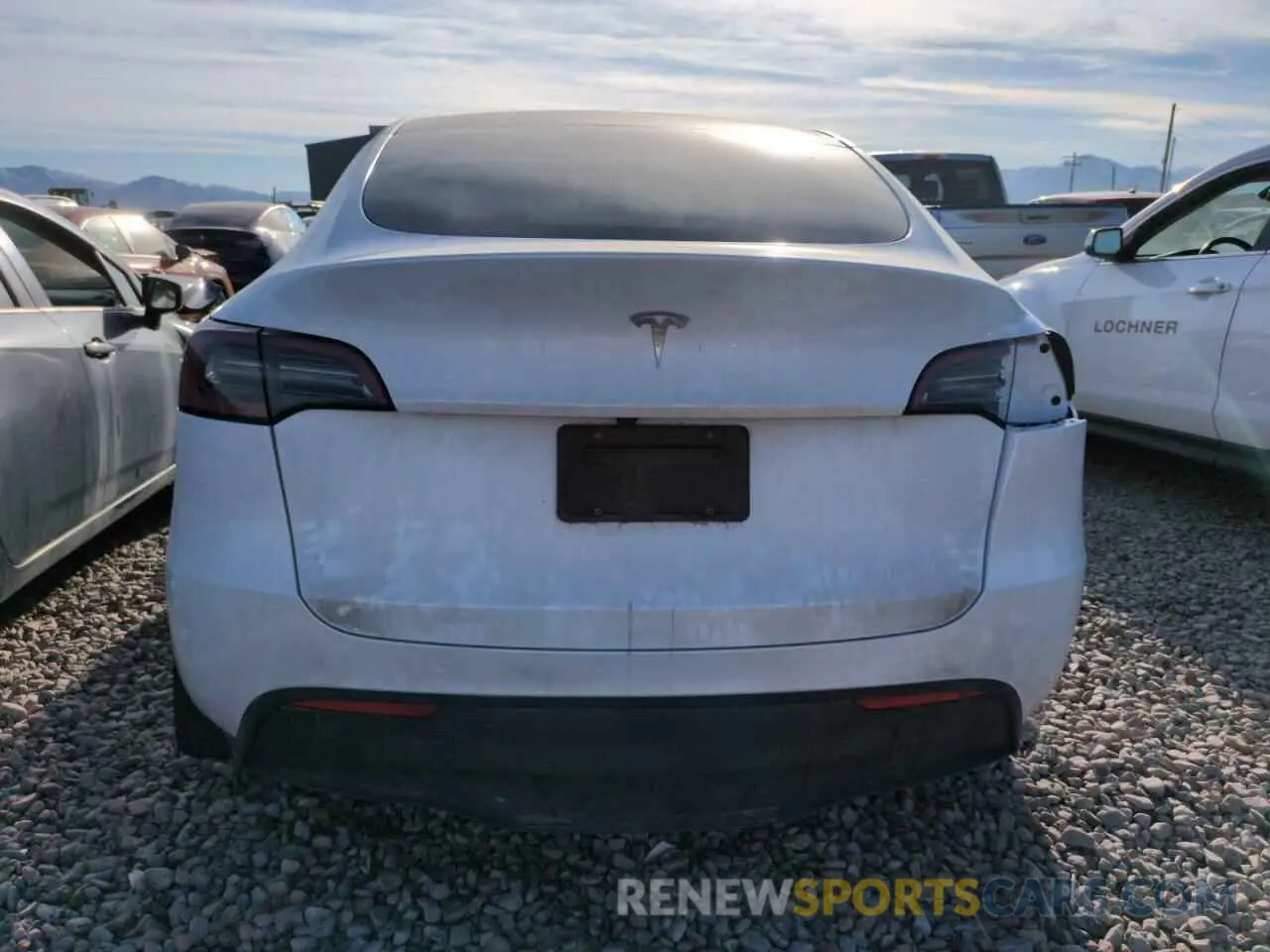 6 fotografías del automóvil dañado 7SAYGDEE7PA123090 TESLA MODEL Y 2023
