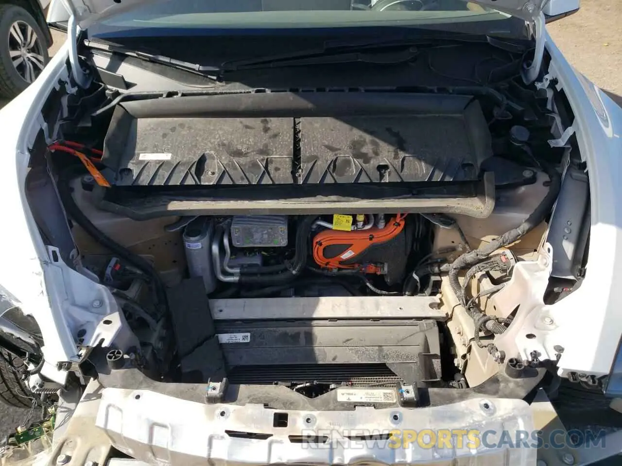 12 fotografías del automóvil dañado 7SAYGDEE7PF597317 TESLA MODEL Y 2023