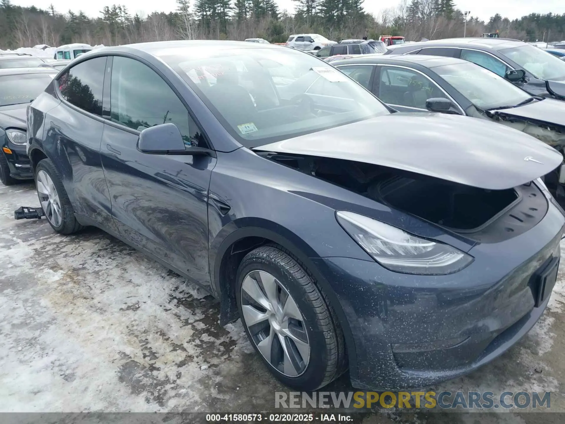 12 fotografías del automóvil dañado 7SAYGDEE7PF602709 TESLA MODEL Y 2023