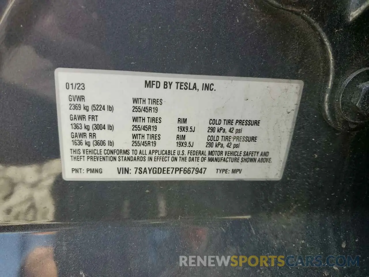 13 fotografías del automóvil dañado 7SAYGDEE7PF667947 TESLA MODEL Y 2023
