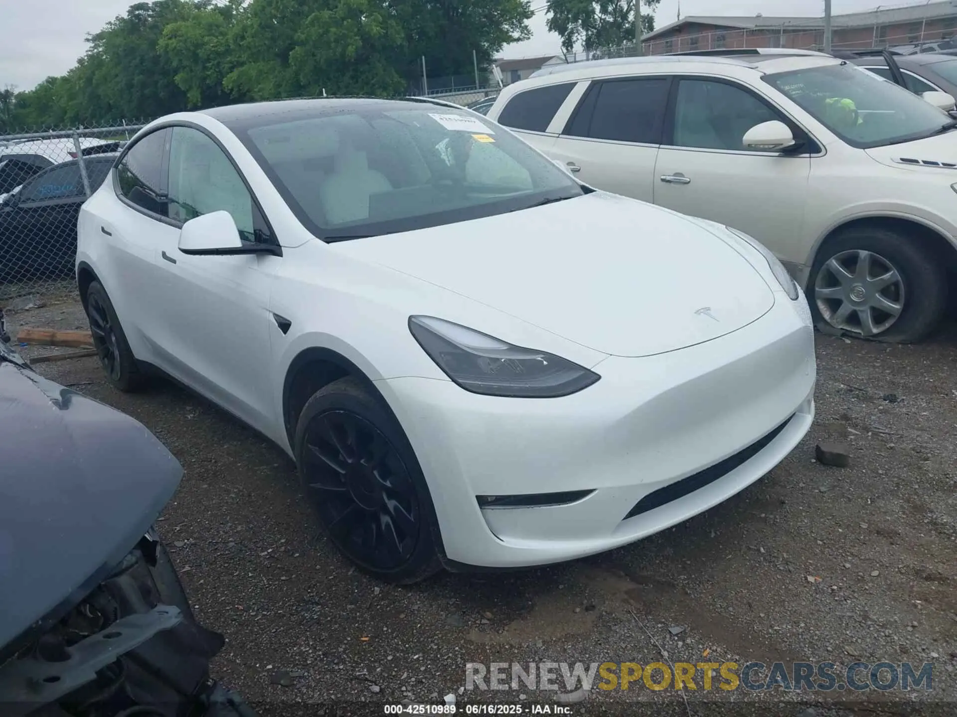 1 fotografías del automóvil dañado 7SAYGDEE7PF754571 TESLA MODEL Y 2023