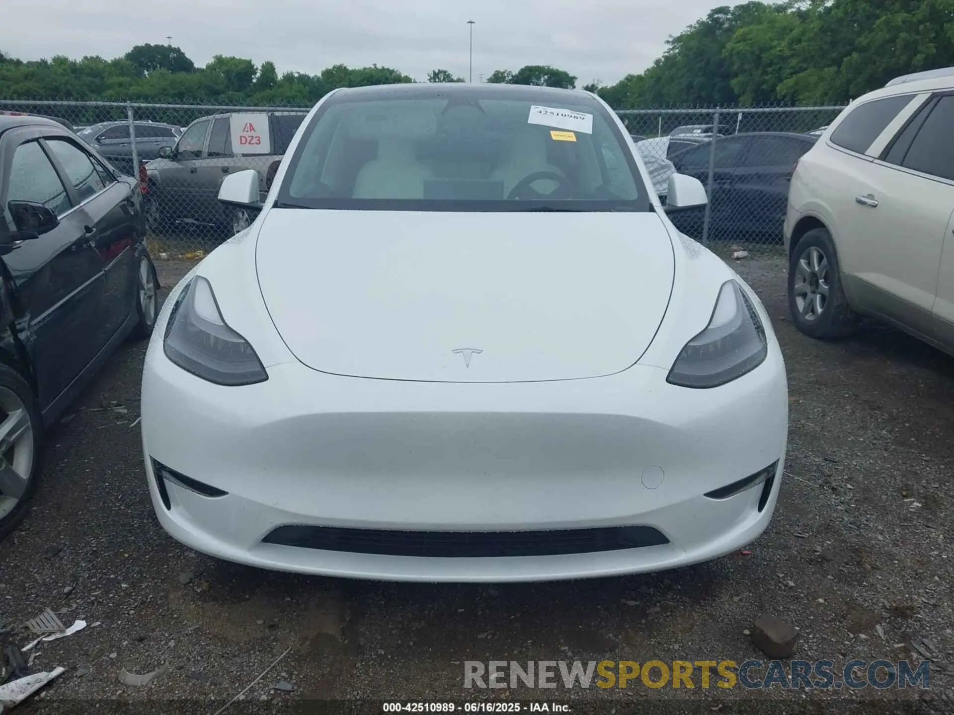 11 fotografías del automóvil dañado 7SAYGDEE7PF754571 TESLA MODEL Y 2023