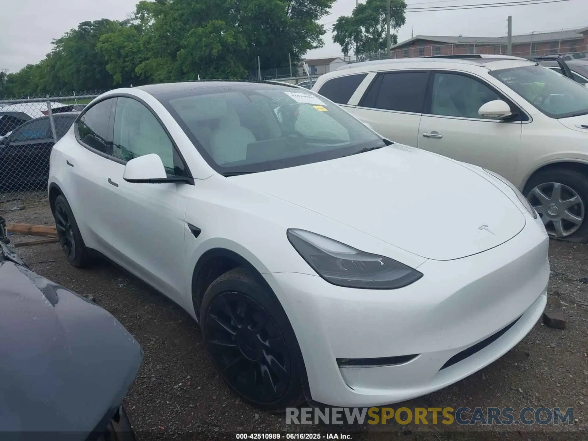 12 fotografías del automóvil dañado 7SAYGDEE7PF754571 TESLA MODEL Y 2023