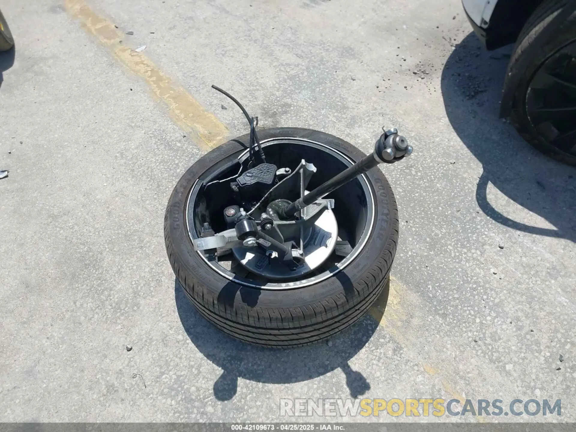 11 fotografías del automóvil dañado 7SAYGDEE7PF865539 TESLA MODEL Y 2023