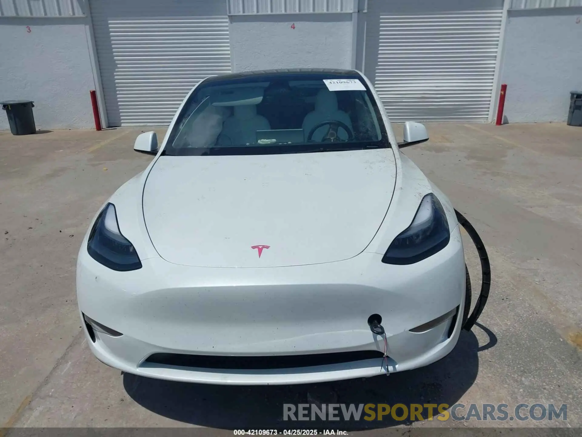 12 fotografías del automóvil dañado 7SAYGDEE7PF865539 TESLA MODEL Y 2023