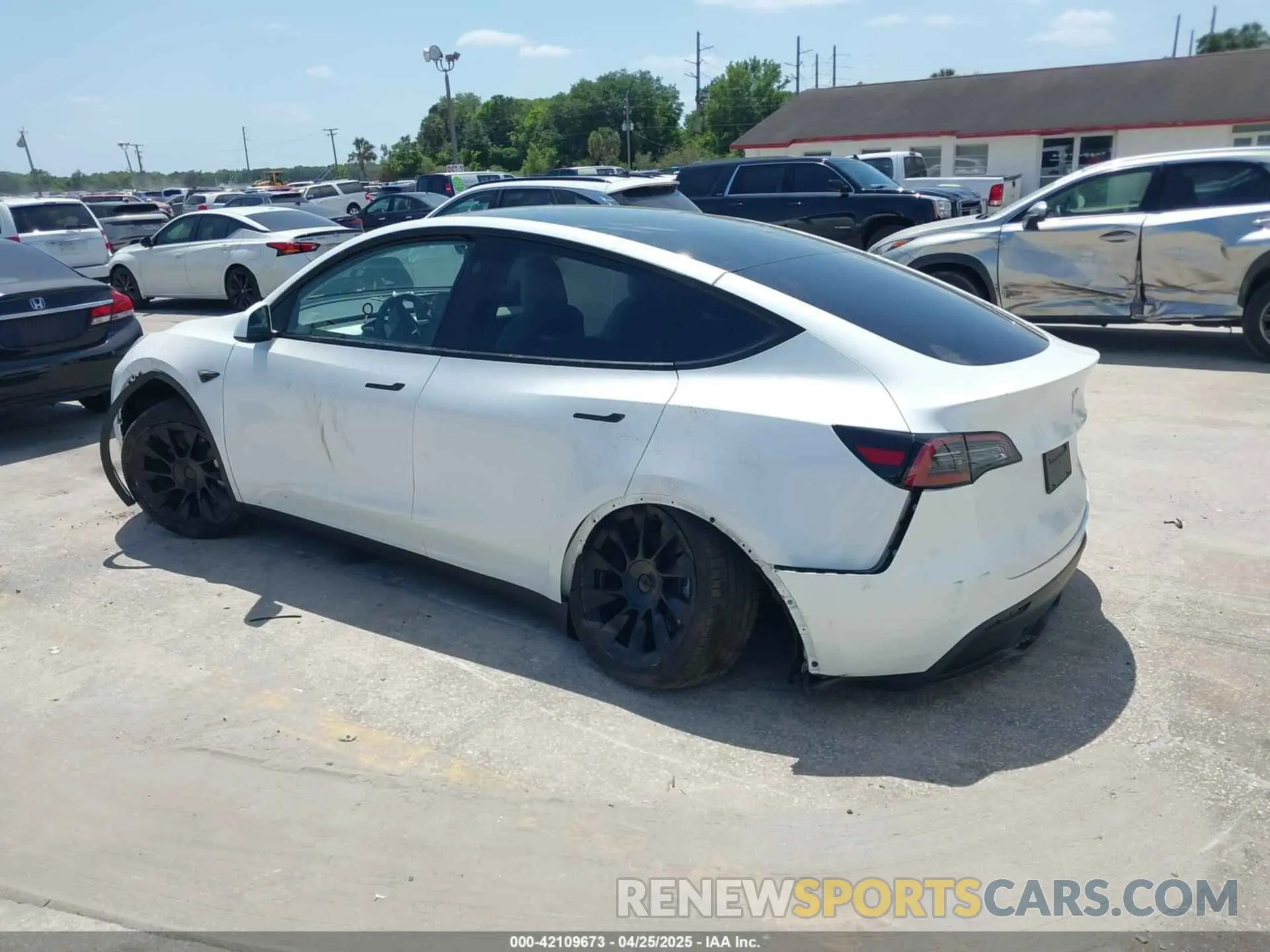 3 fotografías del automóvil dañado 7SAYGDEE7PF865539 TESLA MODEL Y 2023