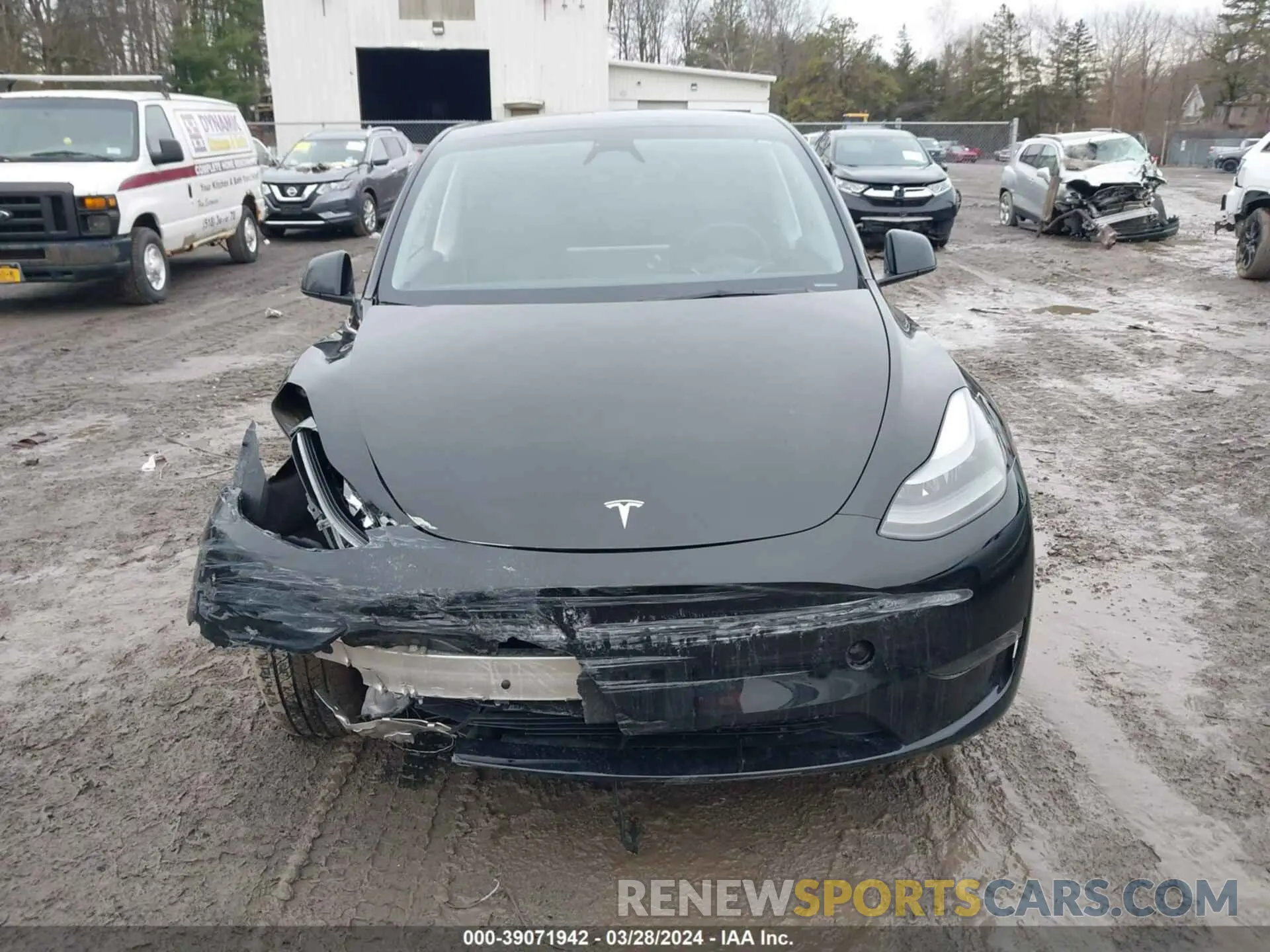 12 fotografías del automóvil dañado 7SAYGDEE7PF899061 TESLA MODEL Y 2023