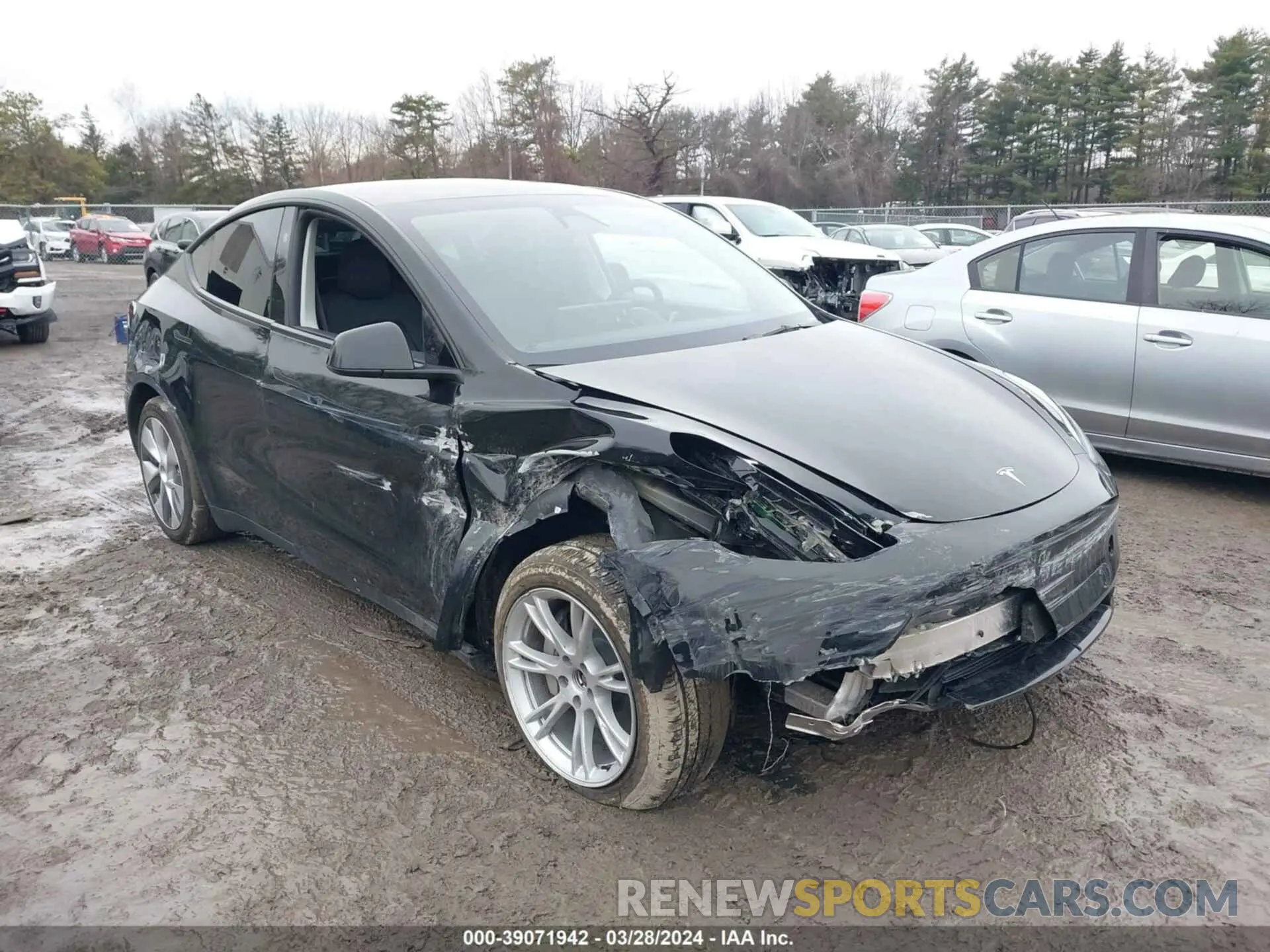 6 fotografías del automóvil dañado 7SAYGDEE7PF899061 TESLA MODEL Y 2023