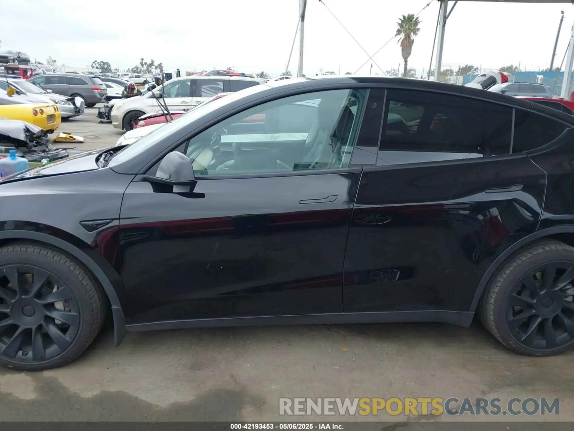 14 fotografías del automóvil dañado 7SAYGDEE8PA051798 TESLA MODEL Y 2023