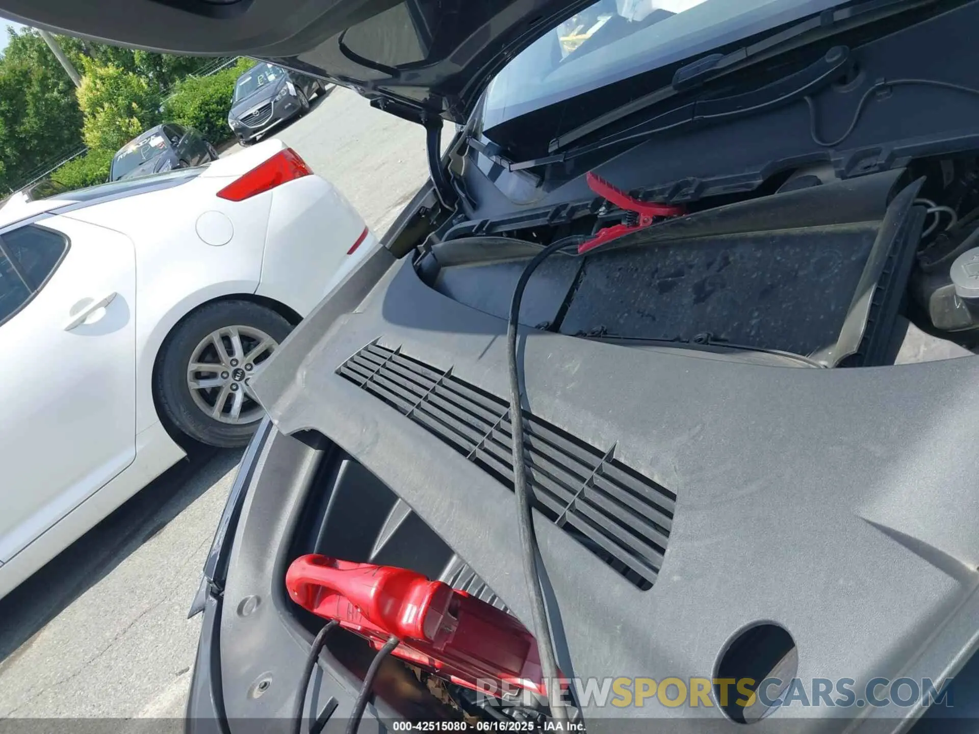 10 fotografías del automóvil dañado 7SAYGDEE8PA145857 TESLA MODEL Y 2023