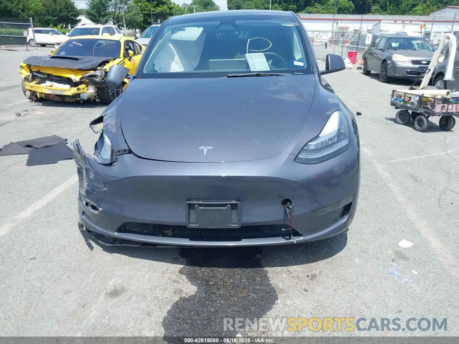 11 fotografías del automóvil dañado 7SAYGDEE8PA145857 TESLA MODEL Y 2023