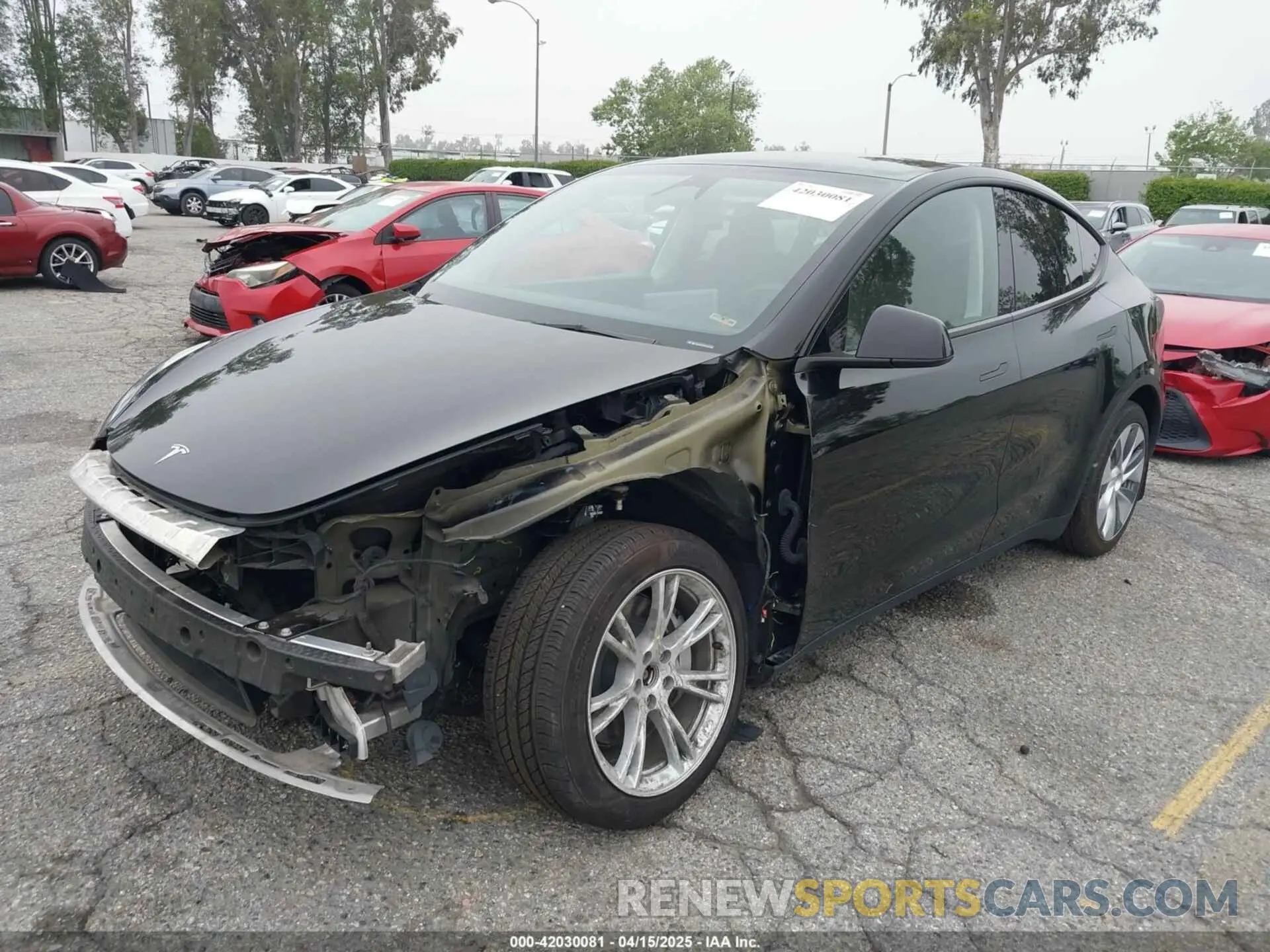 2 fotografías del automóvil dañado 7SAYGDEE8PA152338 TESLA MODEL Y 2023