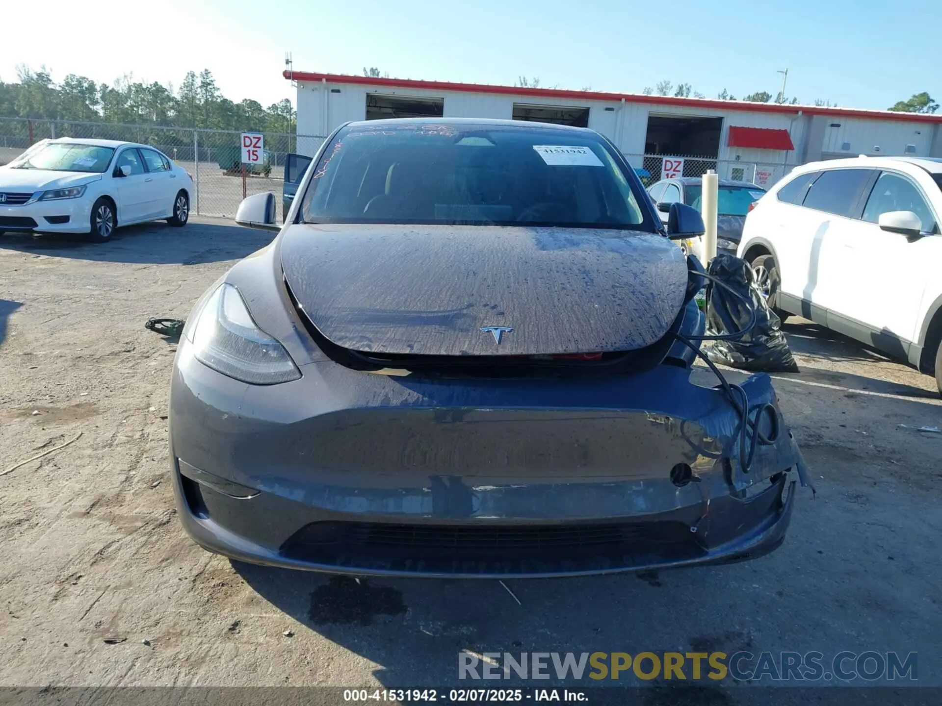 11 fotografías del automóvil dañado 7SAYGDEE8PA183198 TESLA MODEL Y 2023