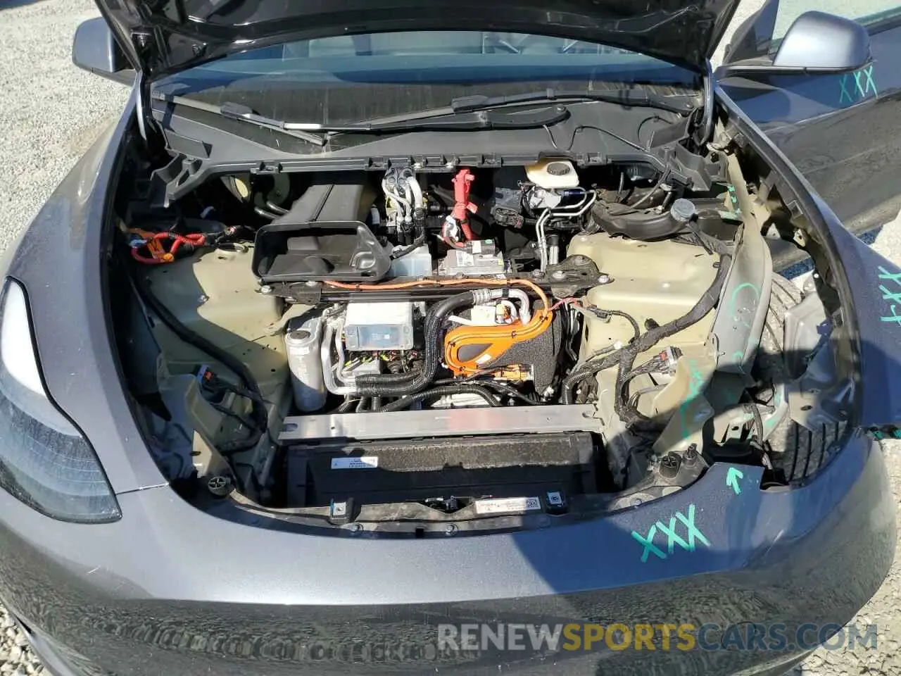 11 fotografías del automóvil dañado 7SAYGDEE8PF756927 TESLA MODEL Y 2023