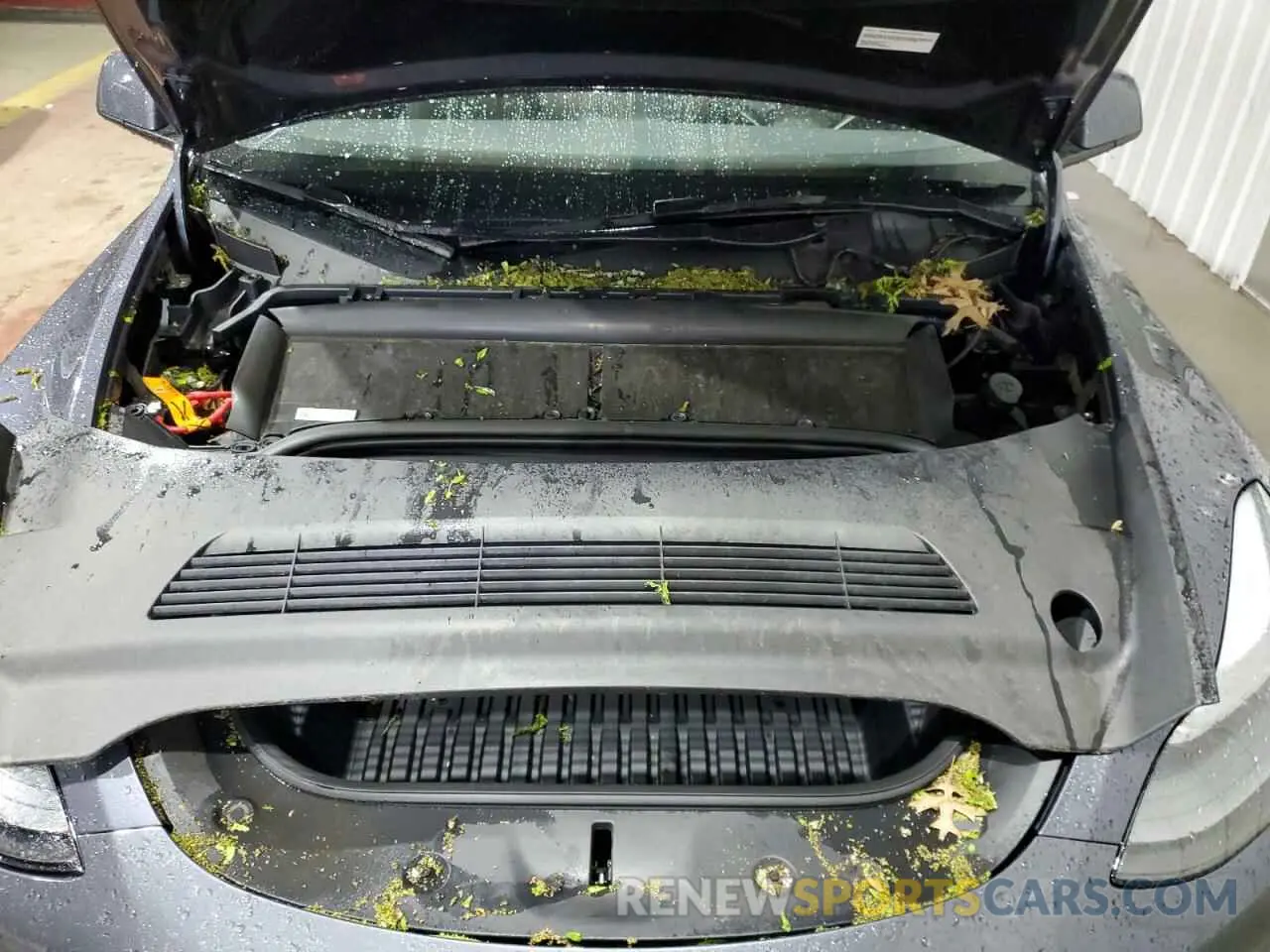 11 fotografías del automóvil dañado 7SAYGDEE8PF814874 TESLA MODEL Y 2023