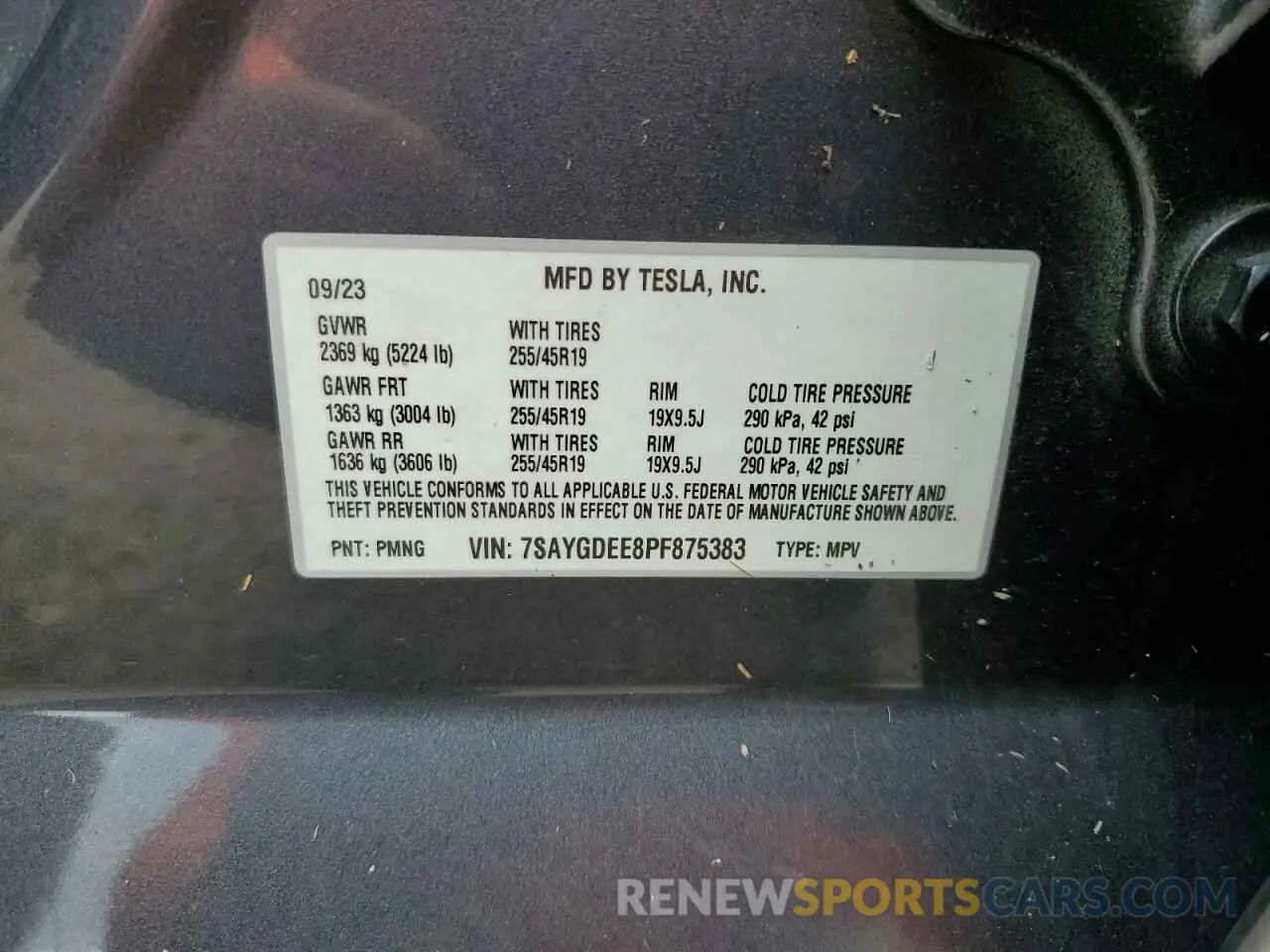 14 fotografías del automóvil dañado 7SAYGDEE8PF875383 TESLA MODEL Y 2023