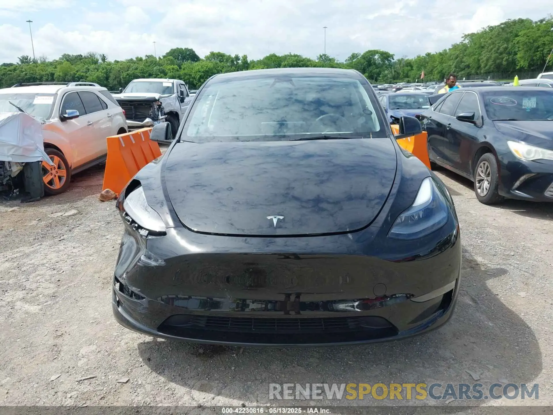 12 fotografías del automóvil dañado 7SAYGDEE8PF919057 TESLA MODEL Y 2023