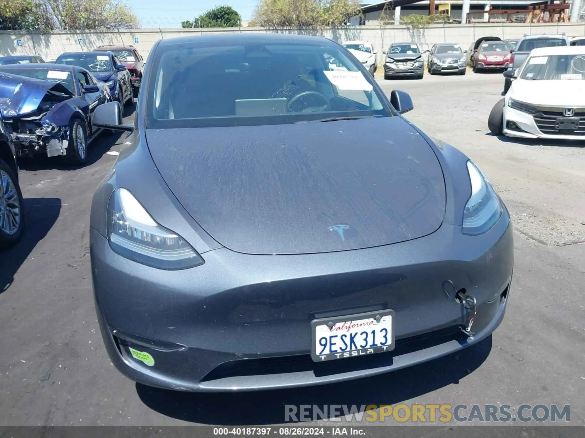 13 fotografías del automóvil dañado 7SAYGDEE9PA047291 TESLA MODEL Y 2023