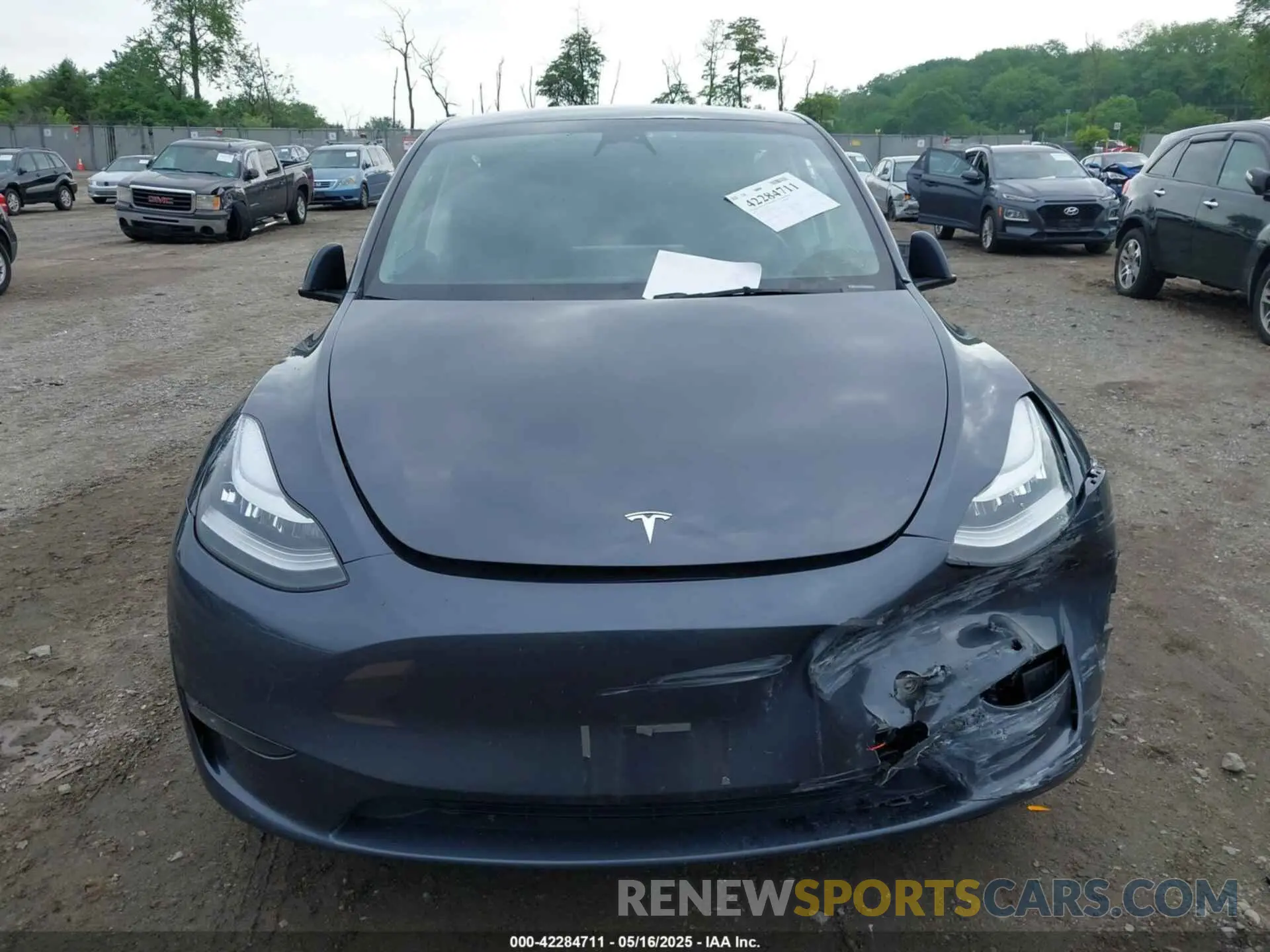 12 fotografías del automóvil dañado 7SAYGDEE9PA130624 TESLA MODEL Y 2023