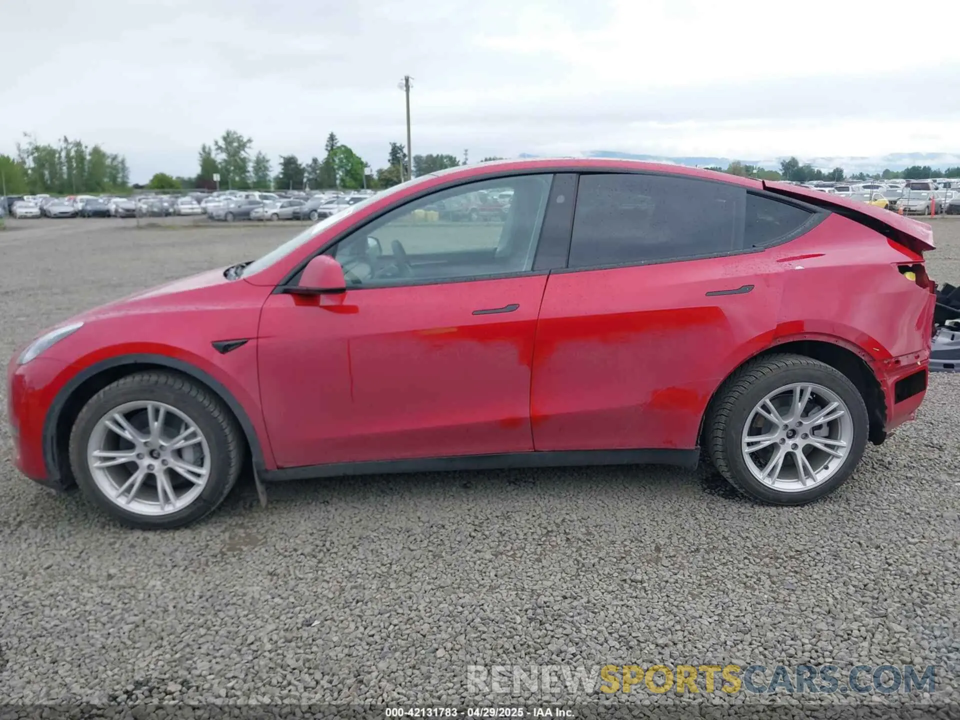 15 fotografías del automóvil dañado 7SAYGDEE9PA145947 TESLA MODEL Y 2023