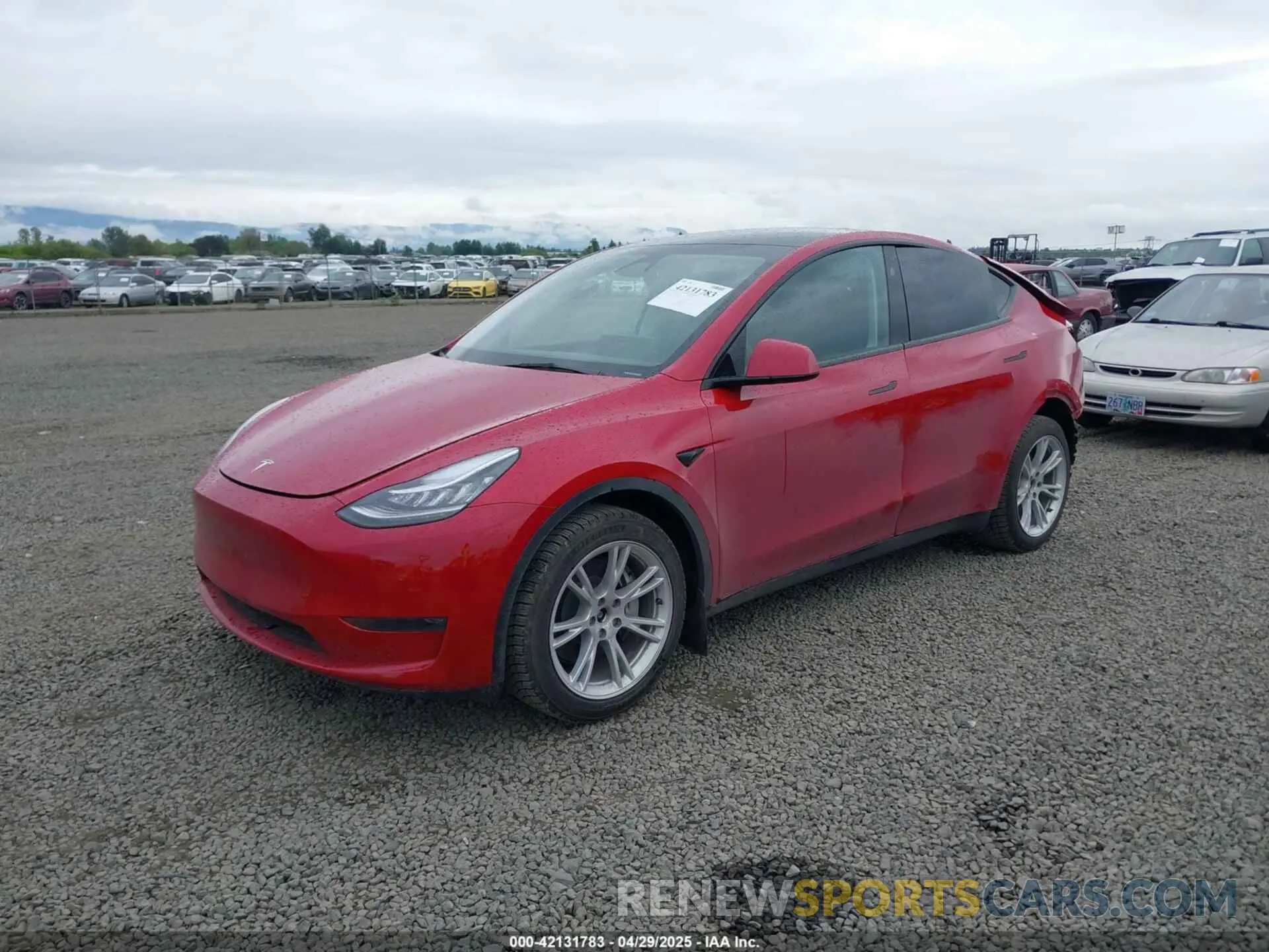 2 fotografías del automóvil dañado 7SAYGDEE9PA145947 TESLA MODEL Y 2023
