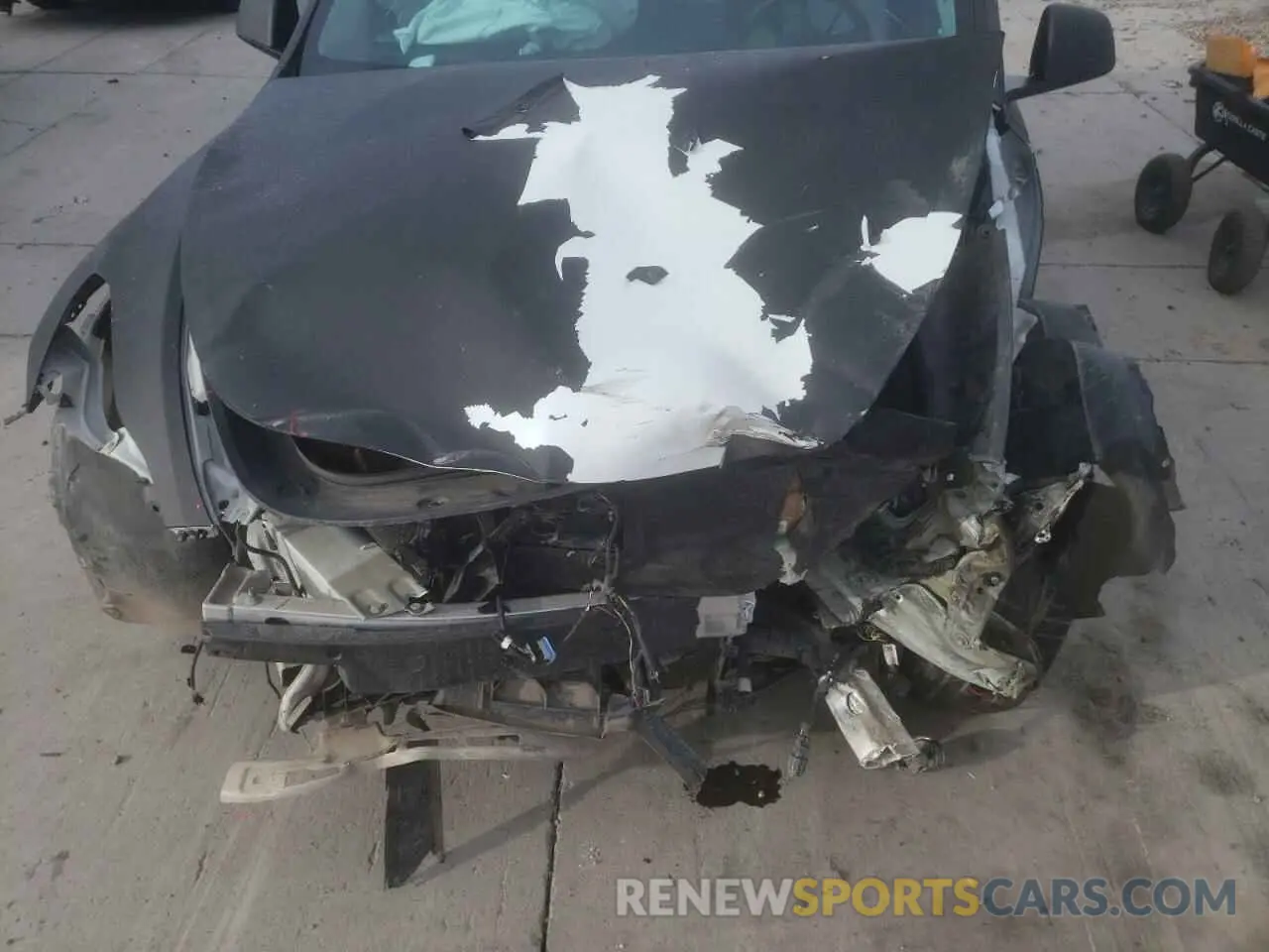 12 fotografías del automóvil dañado 7SAYGDEE9PF631306 TESLA MODEL Y 2023