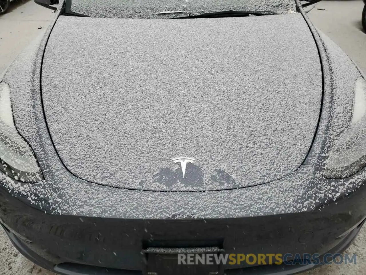 12 fotografías del automóvil dañado 7SAYGDEE9PF685852 TESLA MODEL Y 2023