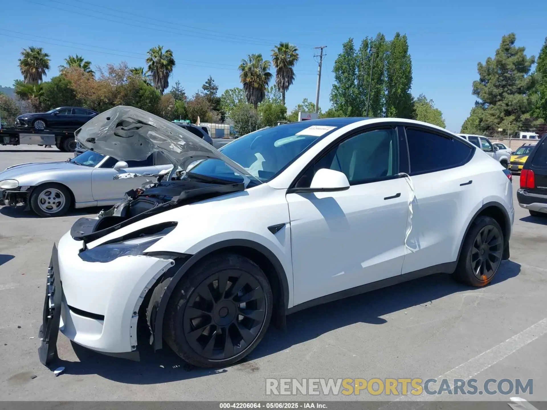 6 fotografías del automóvil dañado 7SAYGDEE9PF811580 TESLA MODEL Y 2023