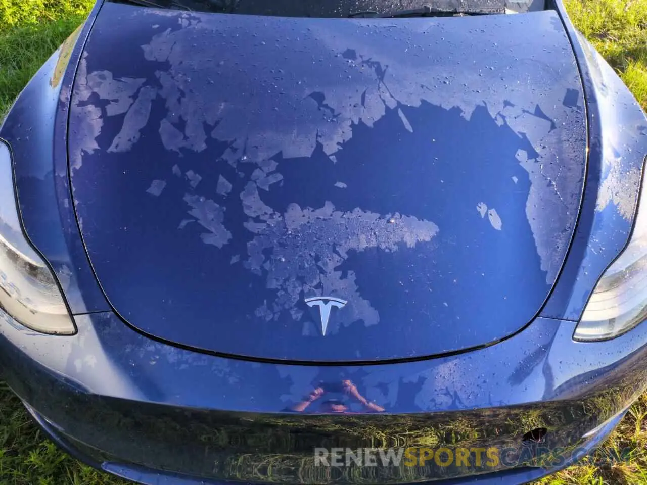 12 fotografías del automóvil dañado 7SAYGDEE9PF880933 TESLA MODEL Y 2023