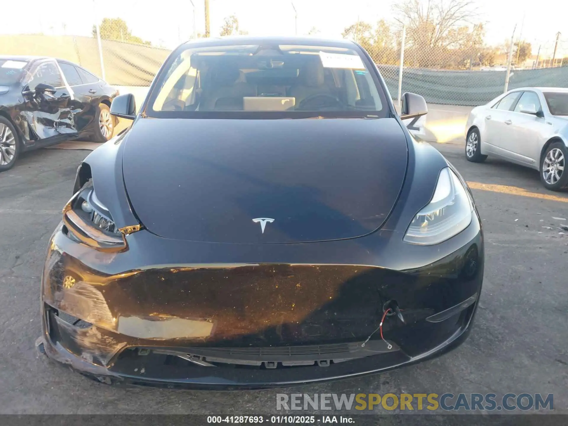 12 fotografías del automóvil dañado 7SAYGDEE9PF958627 TESLA MODEL Y 2023