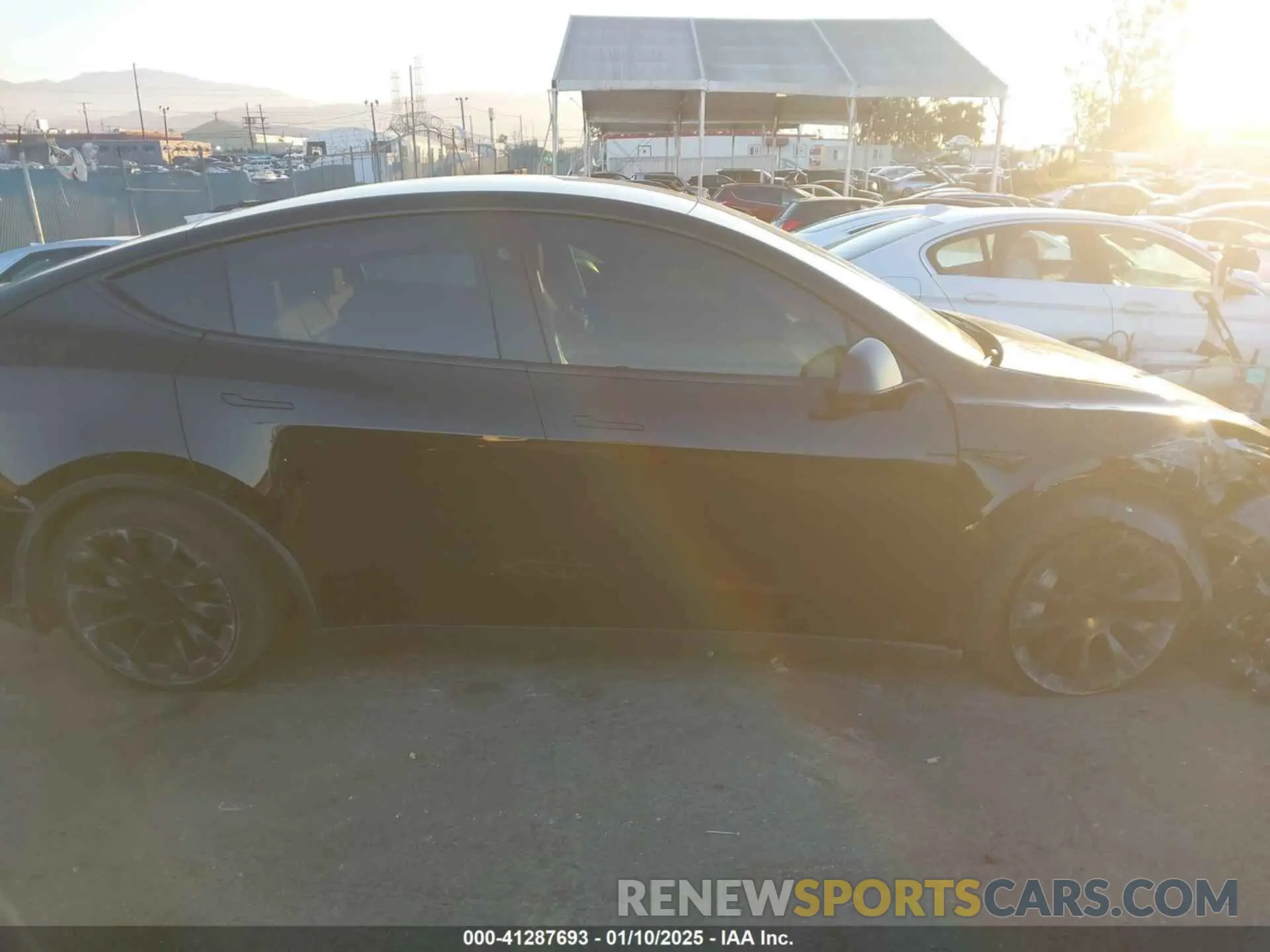 13 fotografías del automóvil dañado 7SAYGDEE9PF958627 TESLA MODEL Y 2023