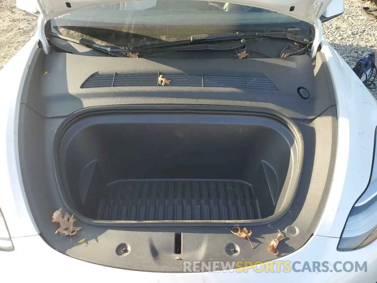 11 fotografías del automóvil dañado 7SAYGDEEXPA104856 TESLA MODEL Y 2023