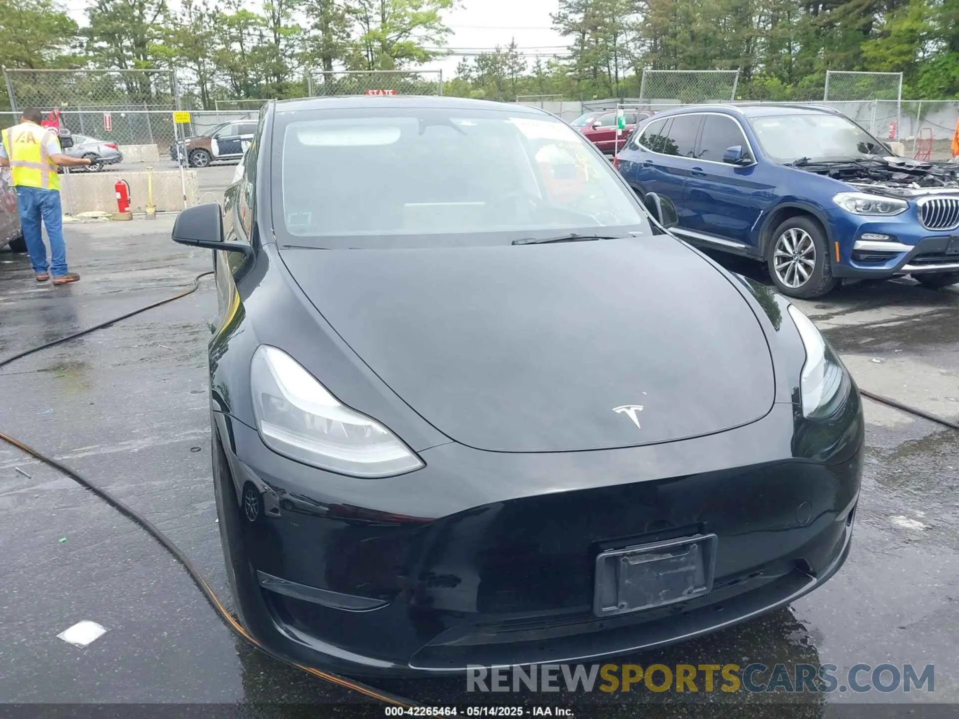 12 fotografías del automóvil dañado 7SAYGDEEXPA183123 TESLA MODEL Y 2023