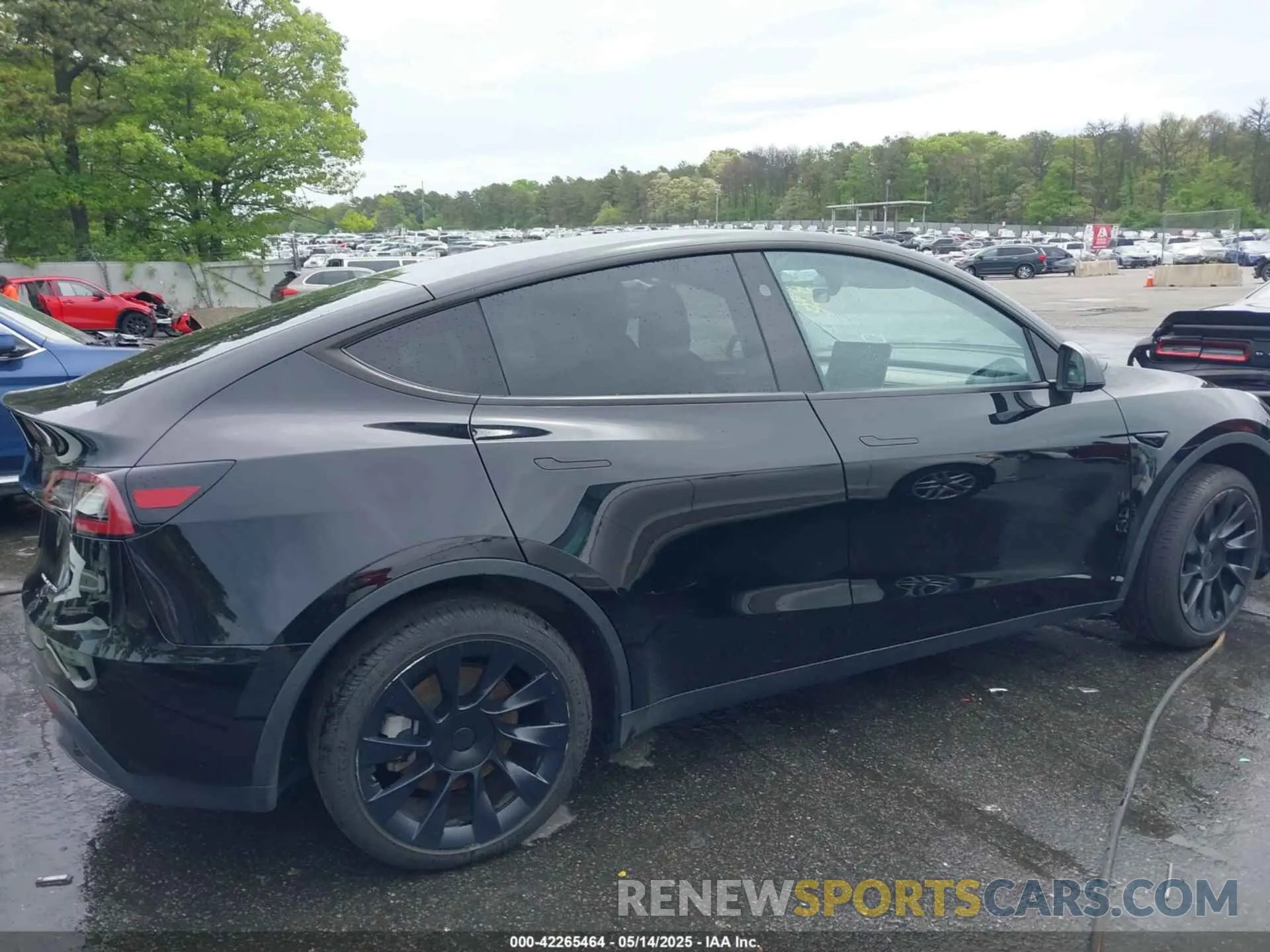 13 fotografías del automóvil dañado 7SAYGDEEXPA183123 TESLA MODEL Y 2023