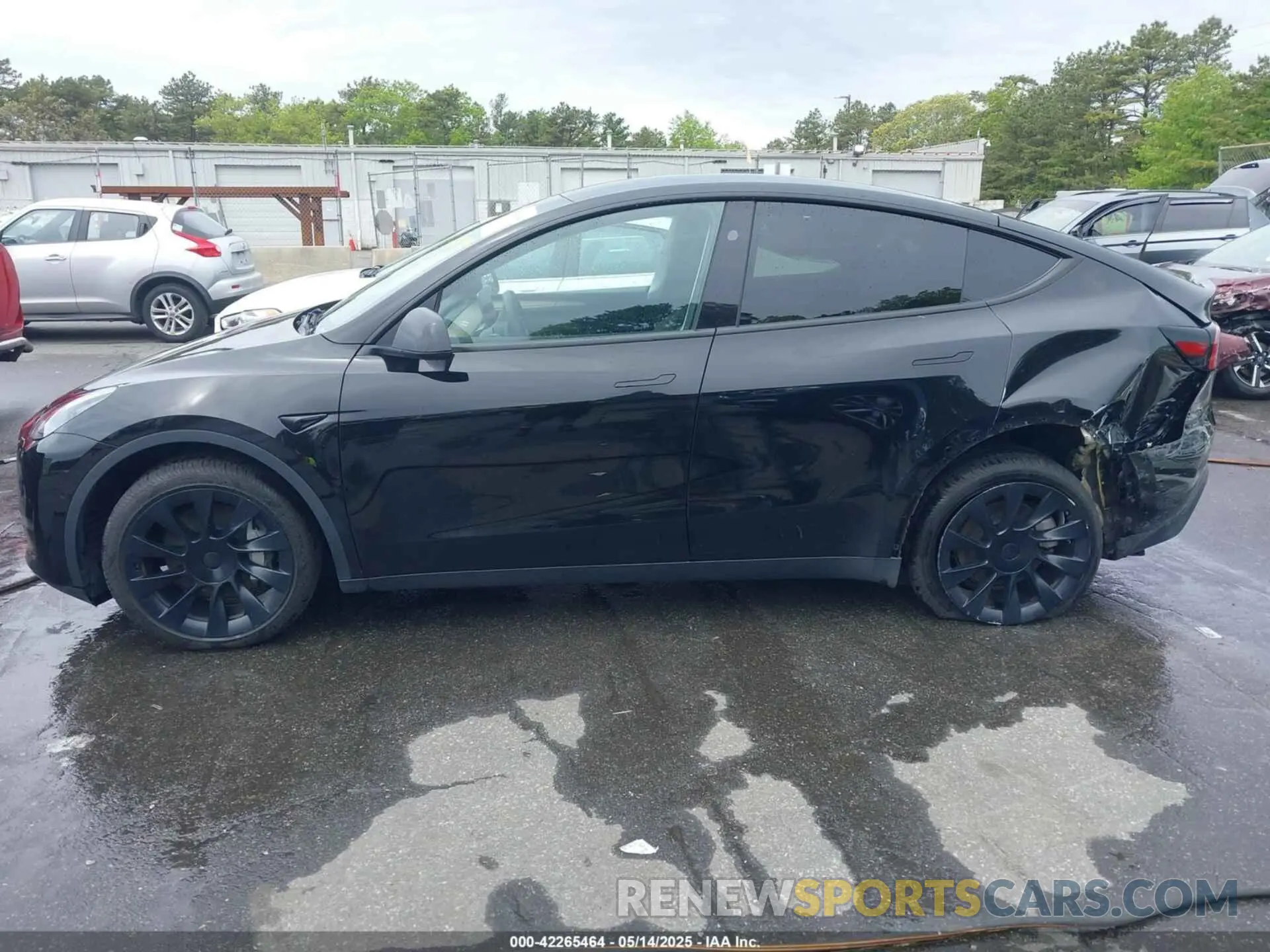 14 fotografías del automóvil dañado 7SAYGDEEXPA183123 TESLA MODEL Y 2023