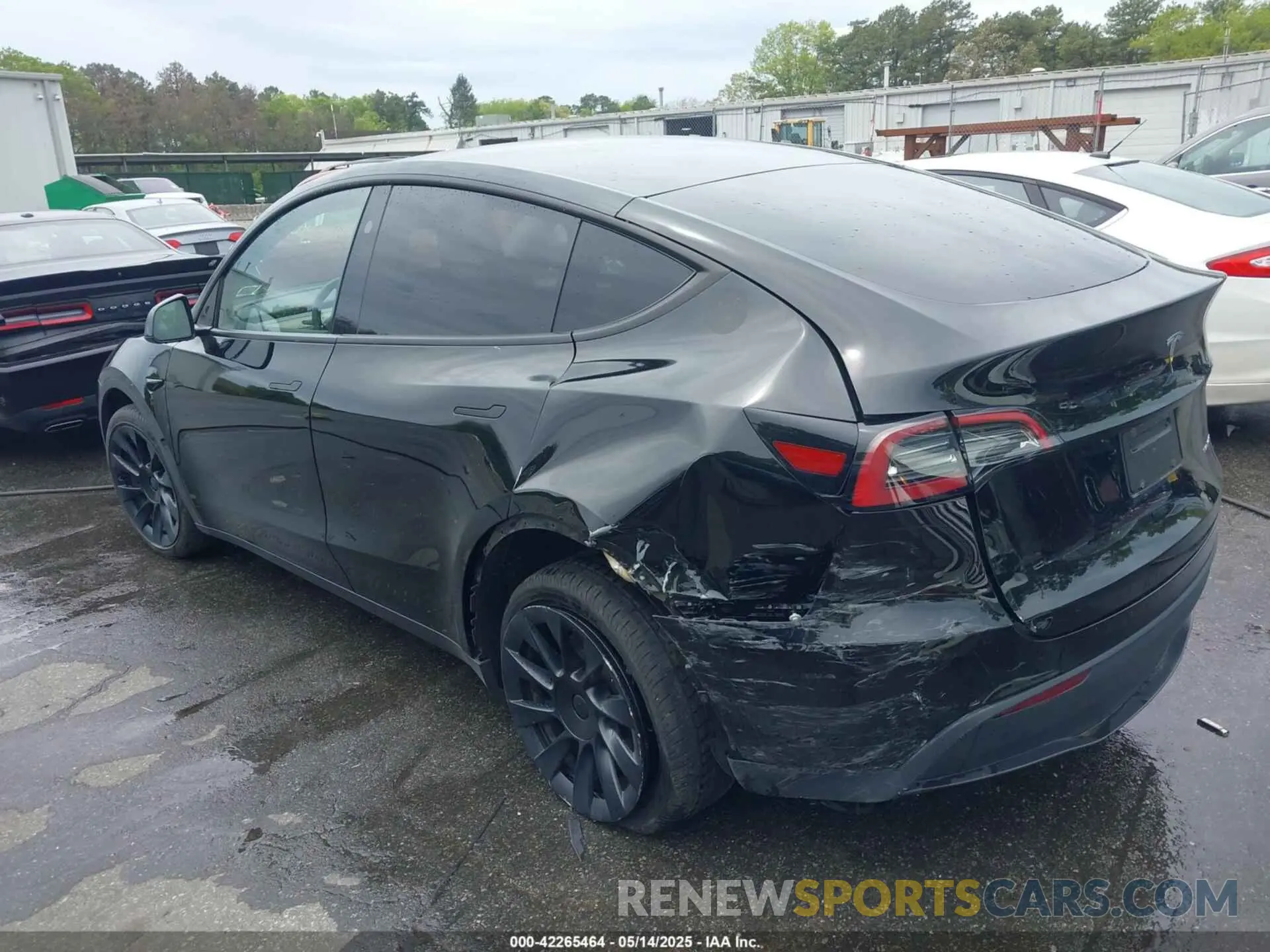 3 fotografías del automóvil dañado 7SAYGDEEXPA183123 TESLA MODEL Y 2023