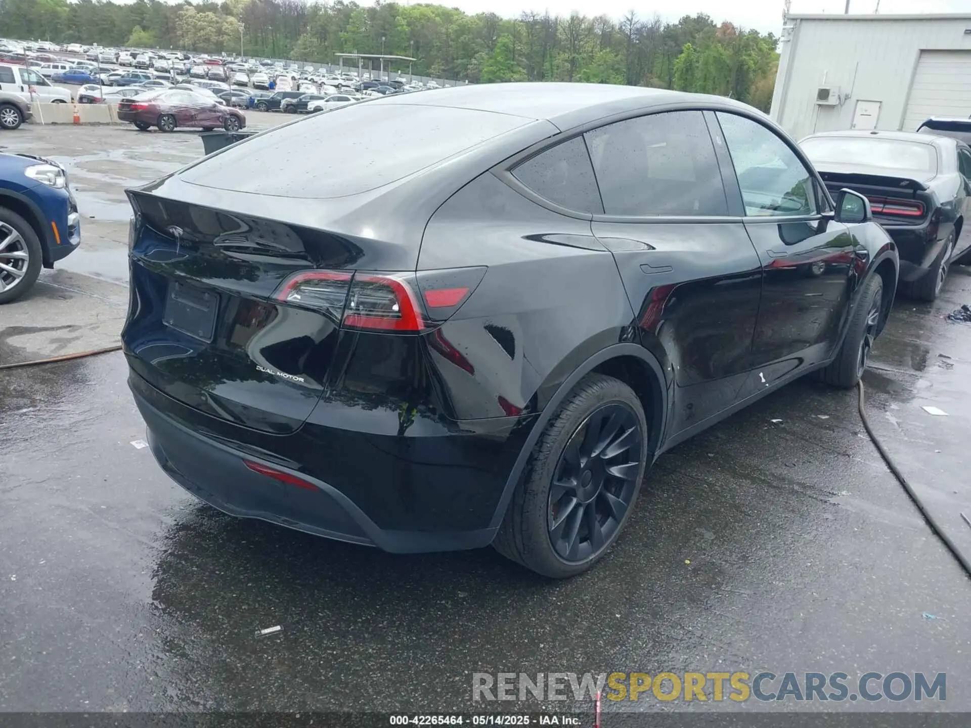 4 fotografías del automóvil dañado 7SAYGDEEXPA183123 TESLA MODEL Y 2023