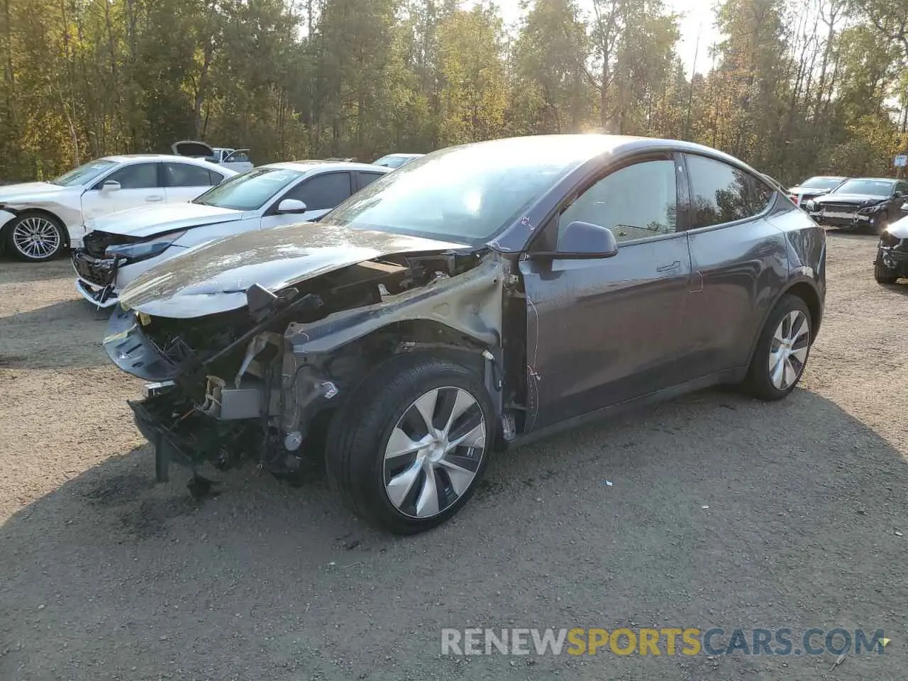 1 fotografías del automóvil dañado 7SAYGDEEXPF774071 TESLA MODEL Y 2023