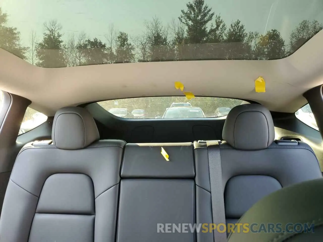 10 fotografías del automóvil dañado 7SAYGDEEXPF774071 TESLA MODEL Y 2023