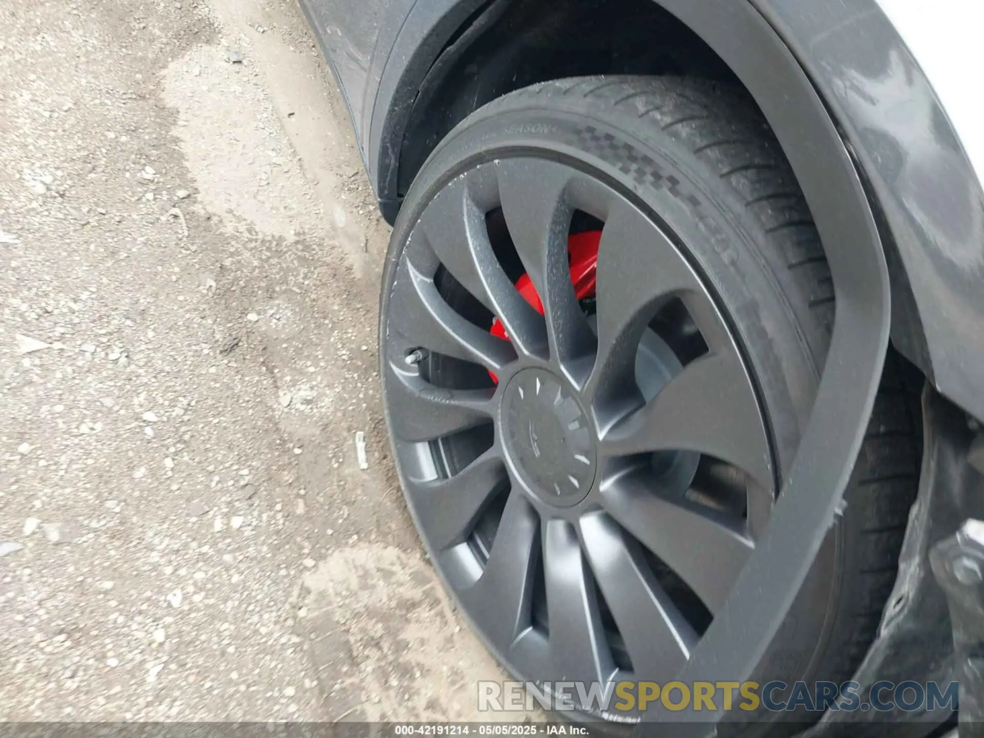 12 fotografías del automóvil dañado 7SAYGDEF1PF838247 TESLA MODEL Y 2023