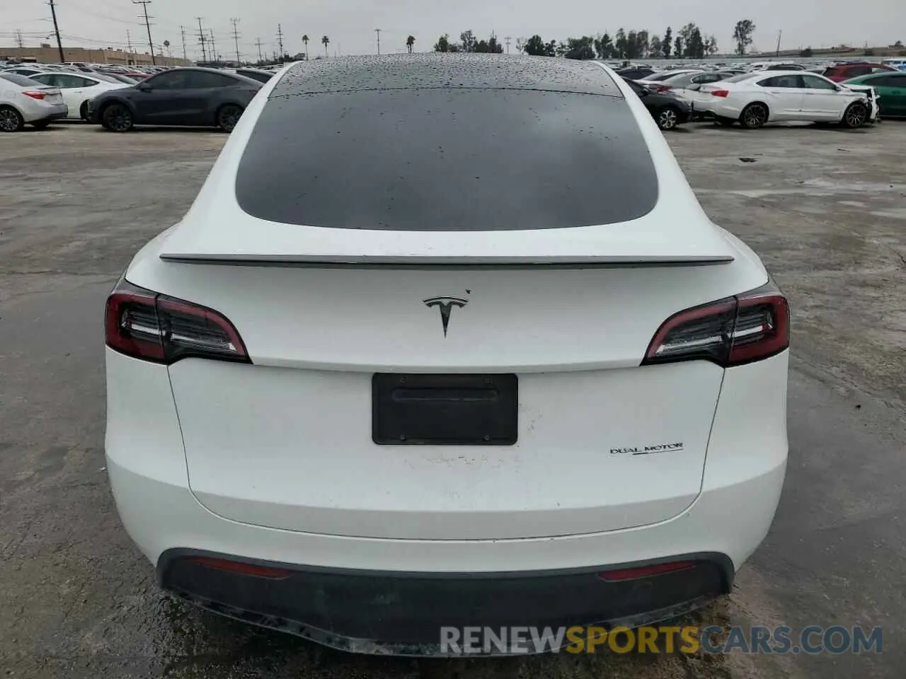 6 fotografías del automóvil dañado 7SAYGDEF7PF602959 TESLA MODEL Y 2023