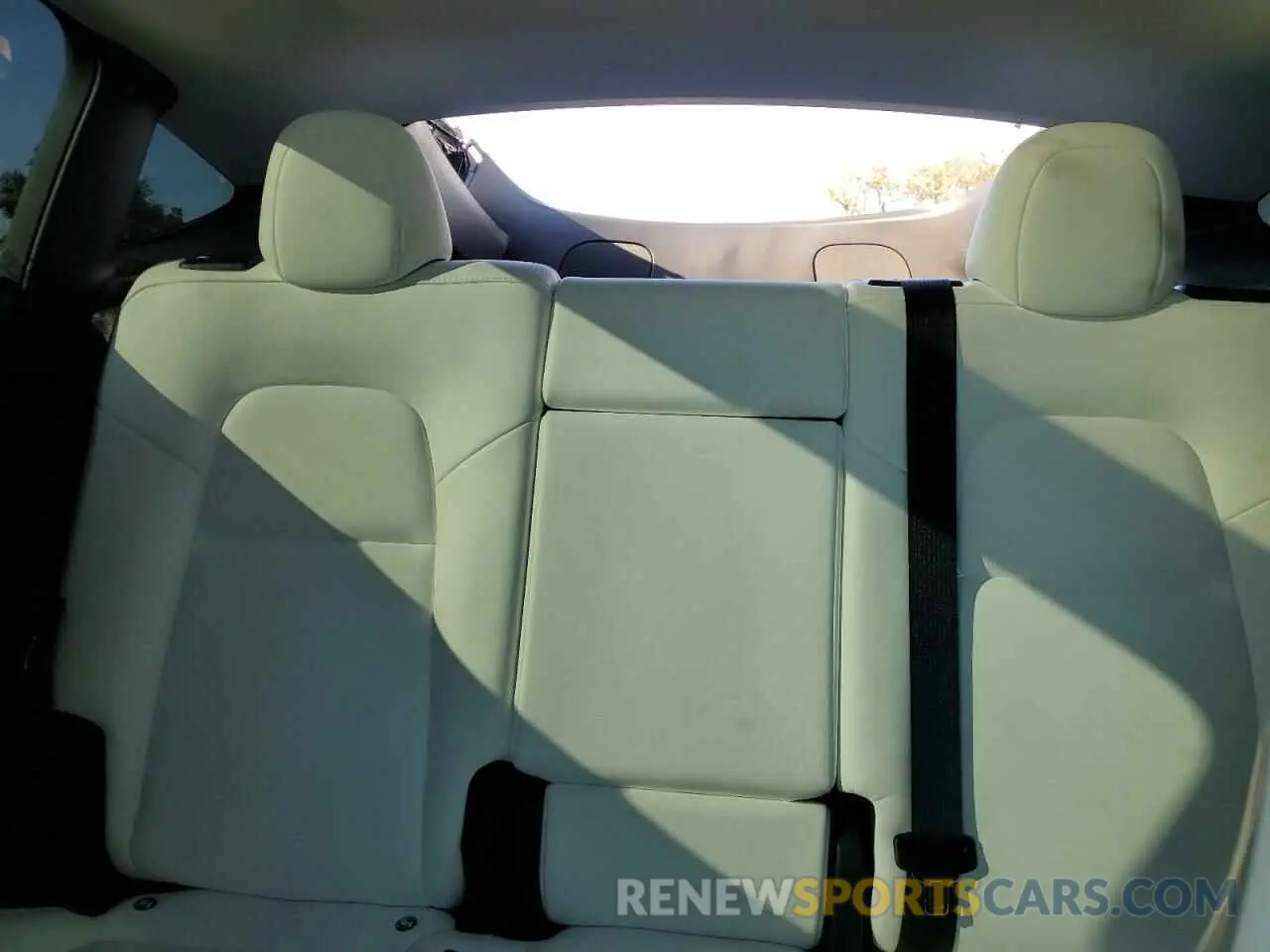 10 fotografías del automóvil dañado 7SAYGDEF7PF823414 TESLA MODEL Y 2023