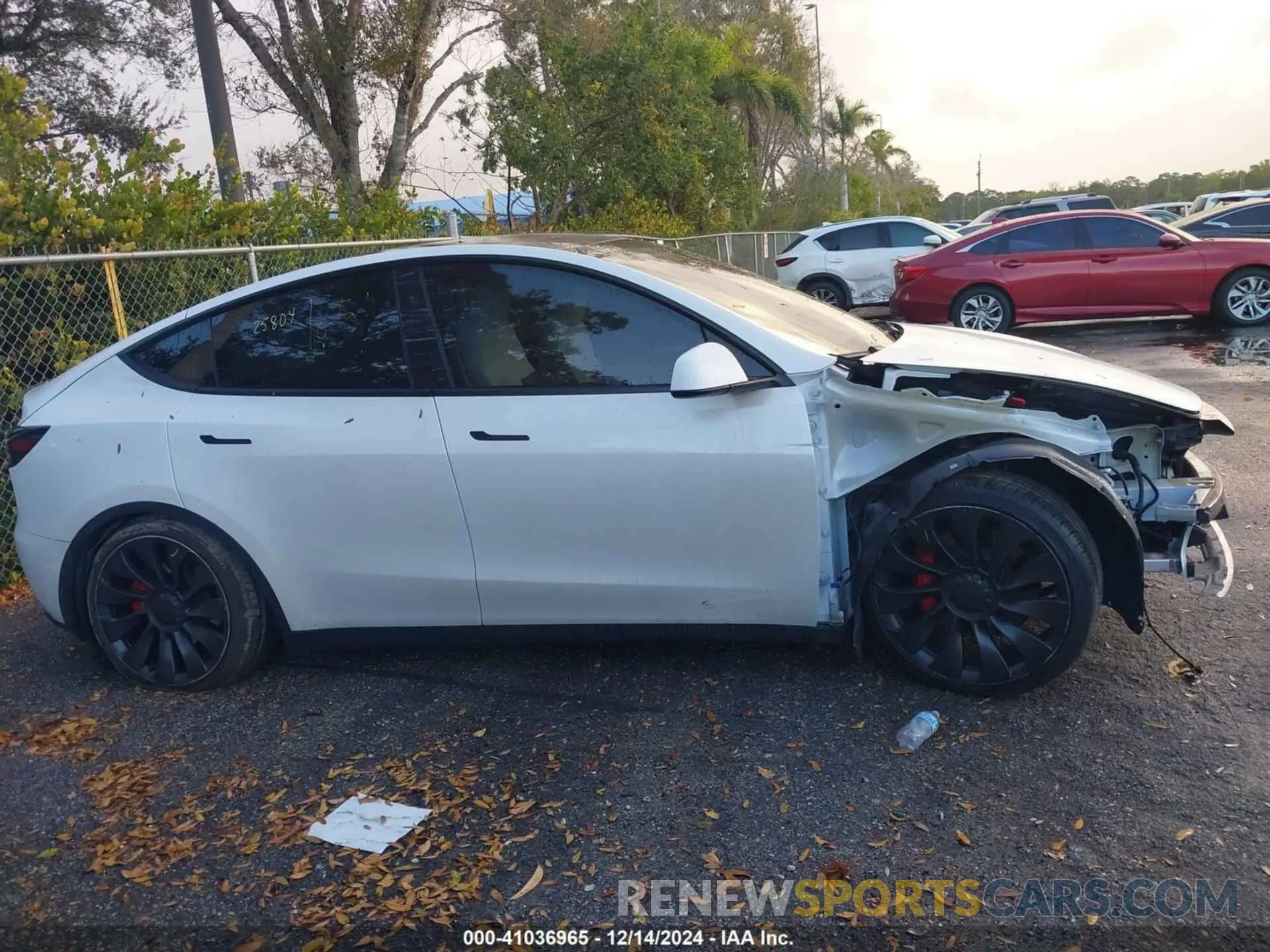 12 fotografías del automóvil dañado 7SAYGDEF7PF902260 TESLA MODEL Y 2023