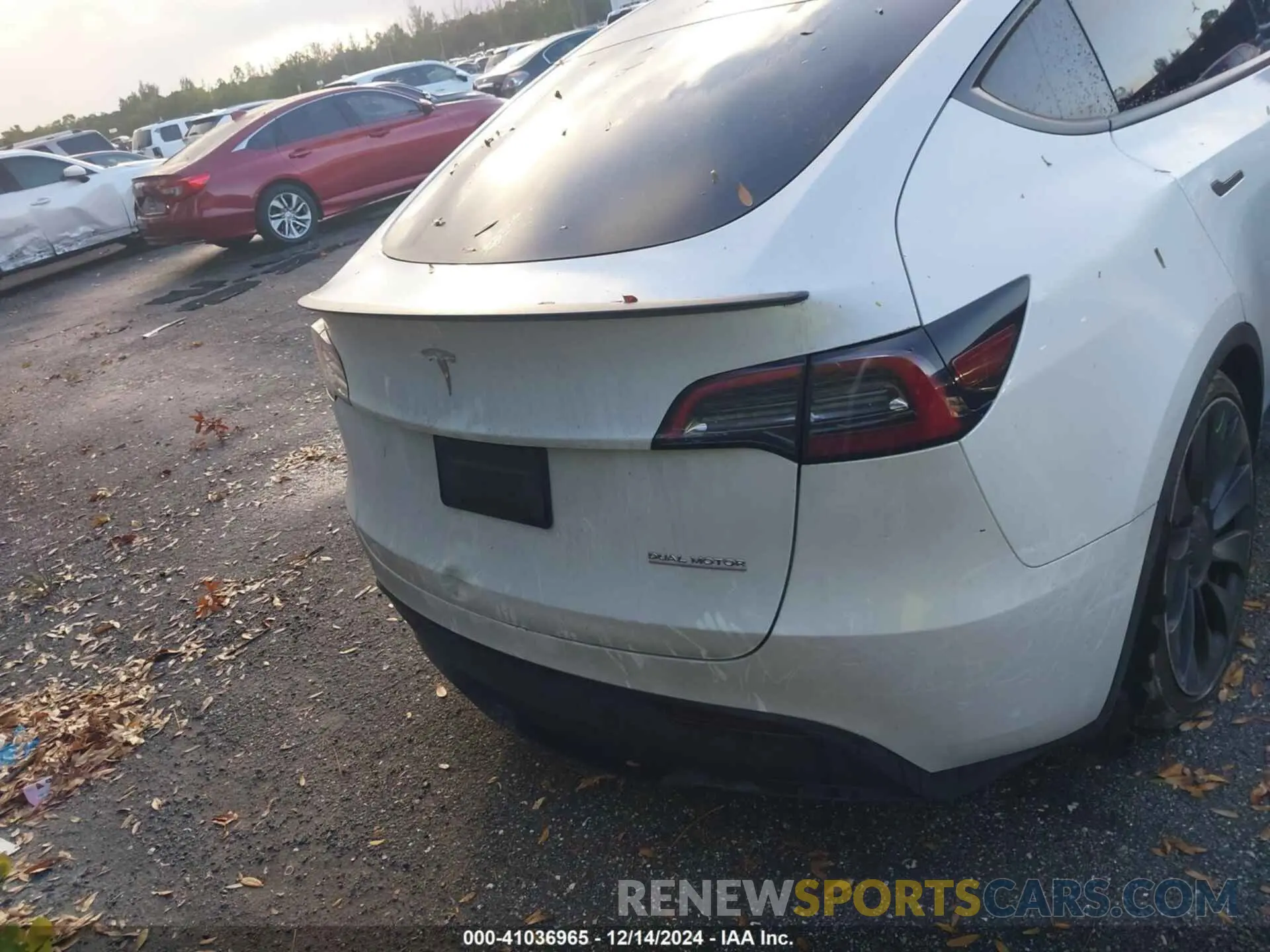 15 fotografías del automóvil dañado 7SAYGDEF7PF902260 TESLA MODEL Y 2023