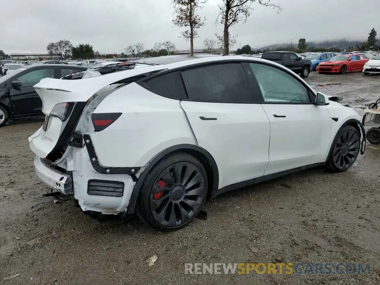 3 fotografías del automóvil dañado 7SAYGDEF8PF814897 TESLA MODEL Y 2023